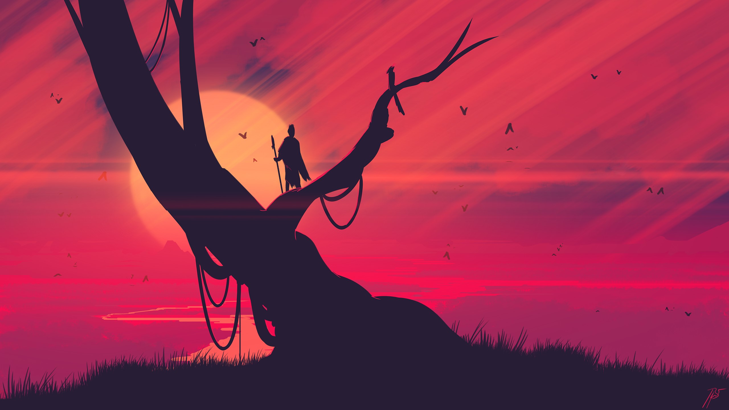 Silhouette of a person on a tree at sunset HD Wallpaper