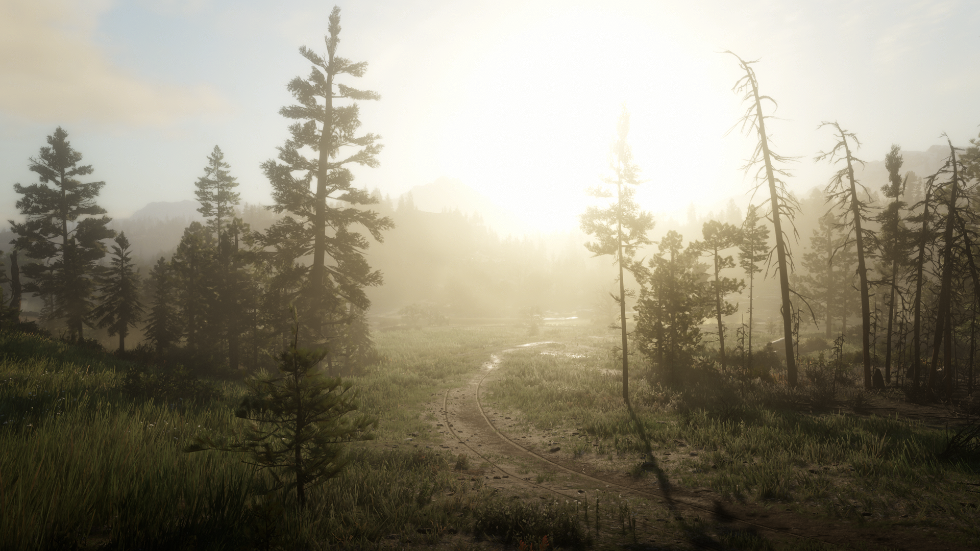 Red Dead Redemption 2 screenshot of a foggy forest path HD Wallpaper