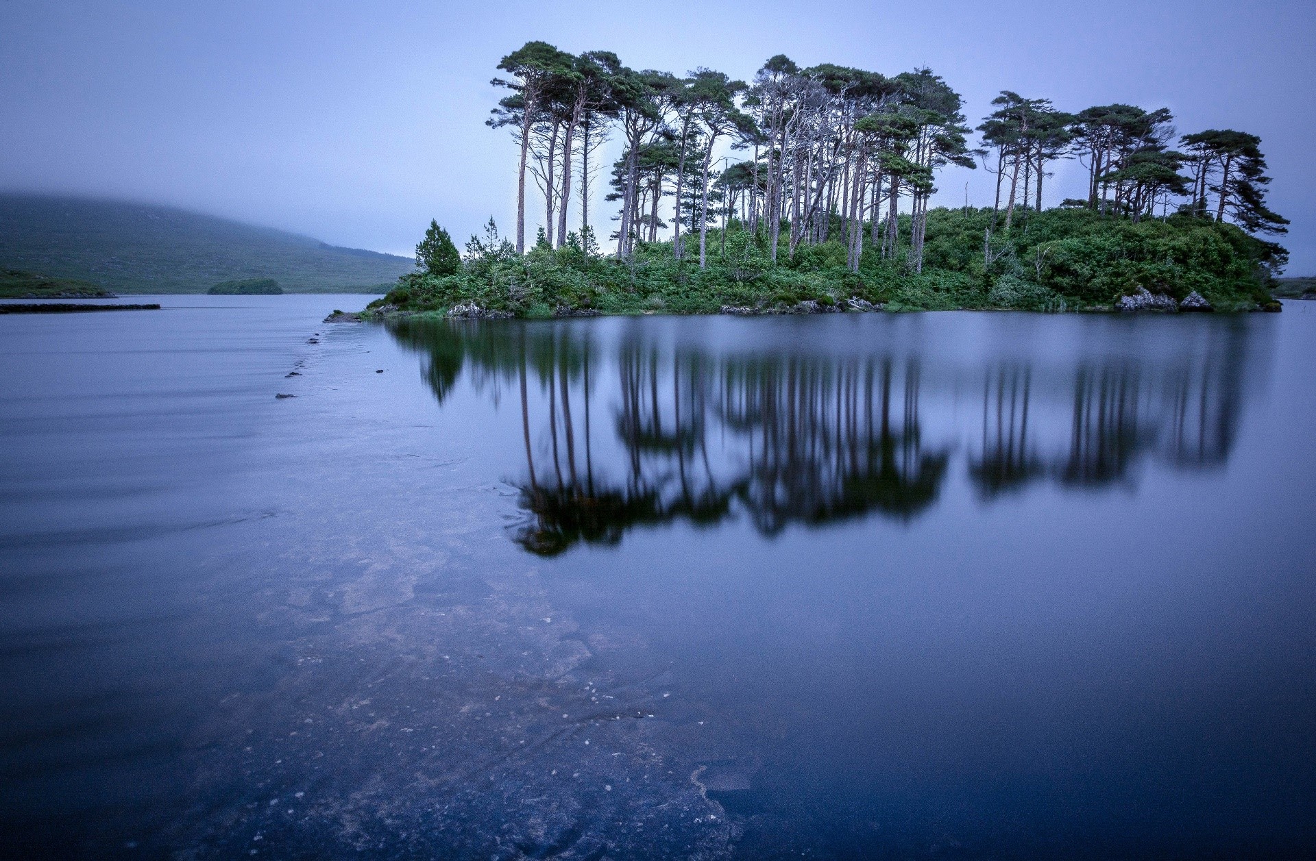 Island with pine trees reflected in a lake in Ireland HD Wallpaper