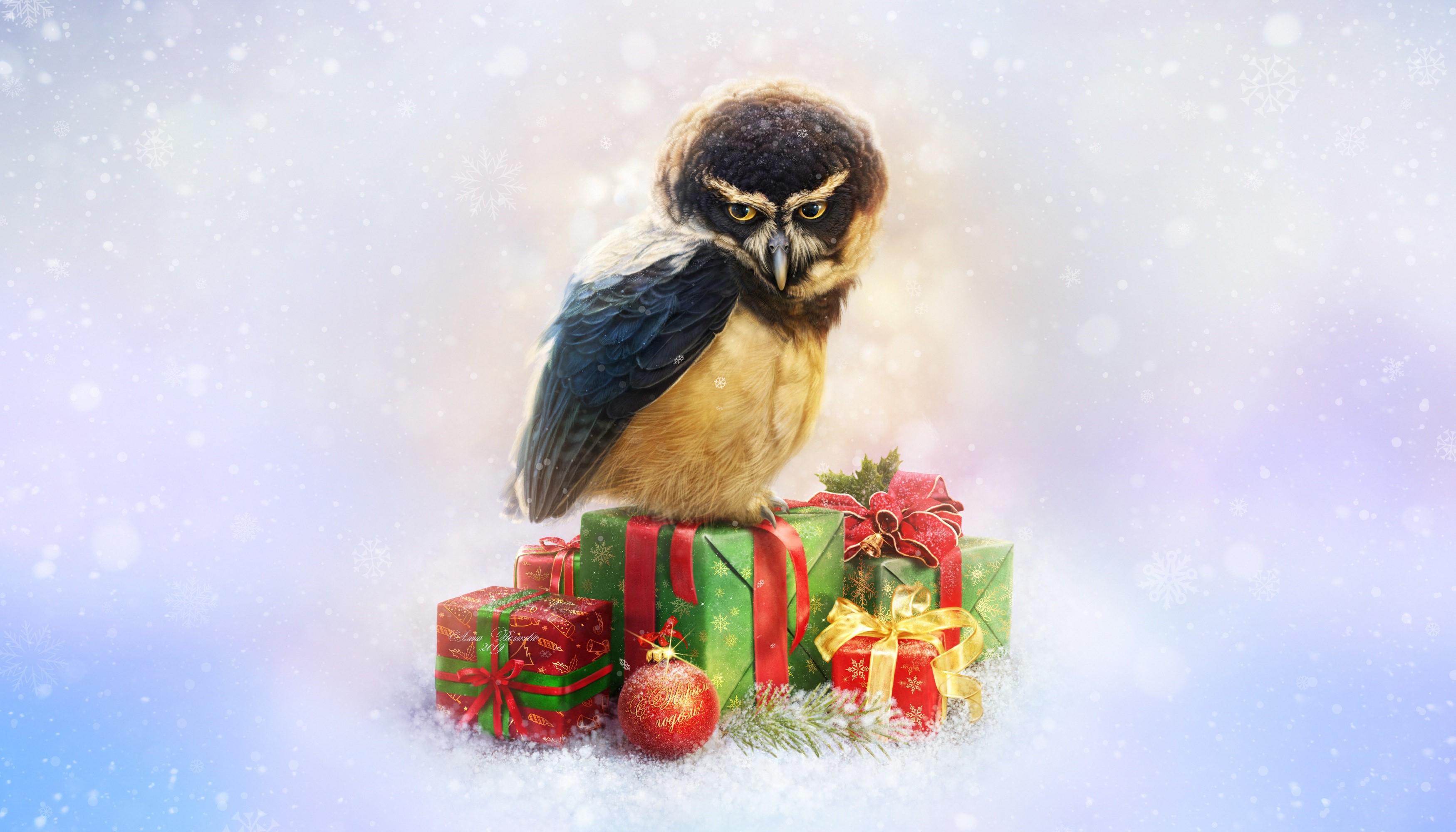 Owl on Christmas Presents by Elena Roslyakova HD Wallpaper