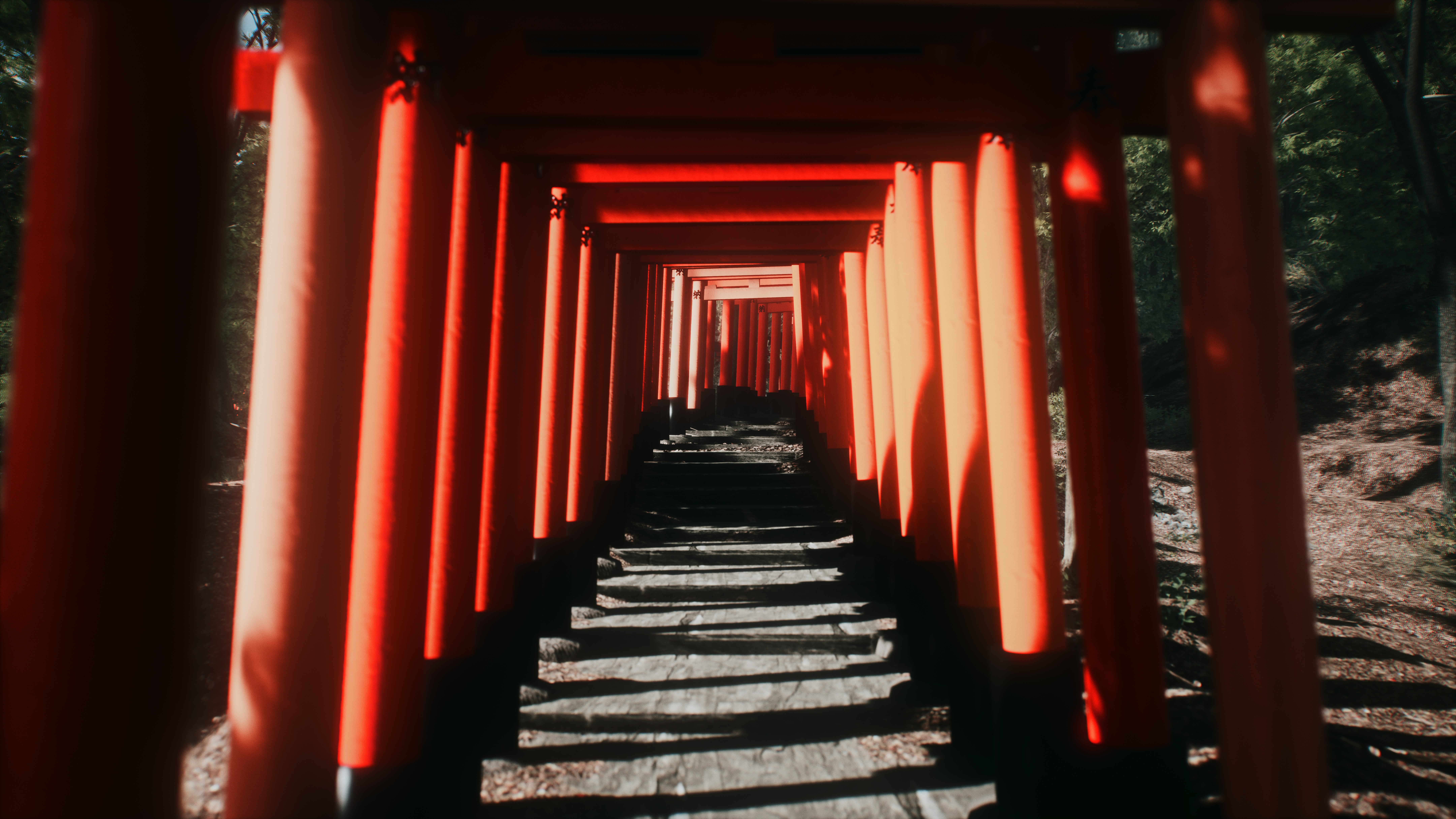 Fushimi Inari-taisha Torii Gates HD Wallpaper