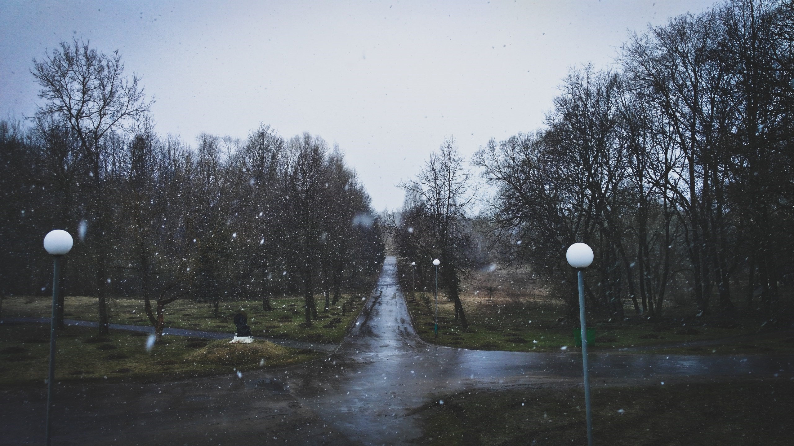 Gloomy winter park with falling snow HD Wallpaper