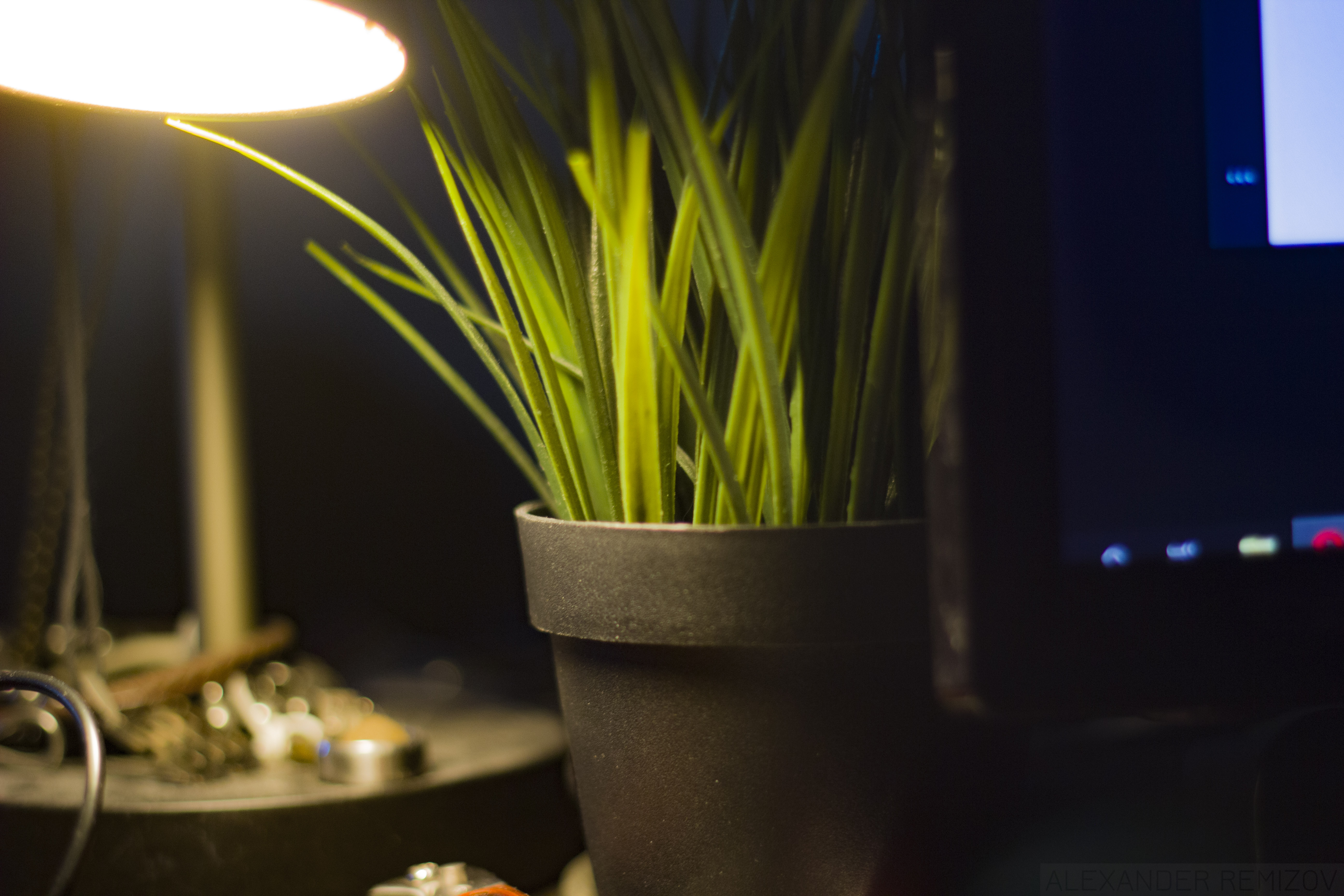 Potted grass near a lamp and computer screen HD Wallpaper