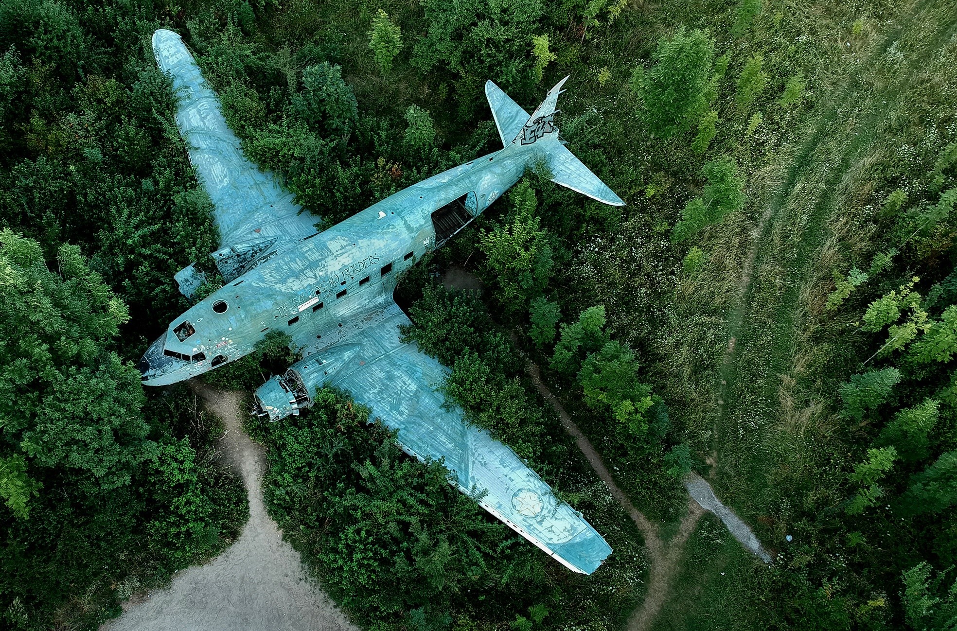 Abandoned aircraft wreck in a forest HD Wallpaper