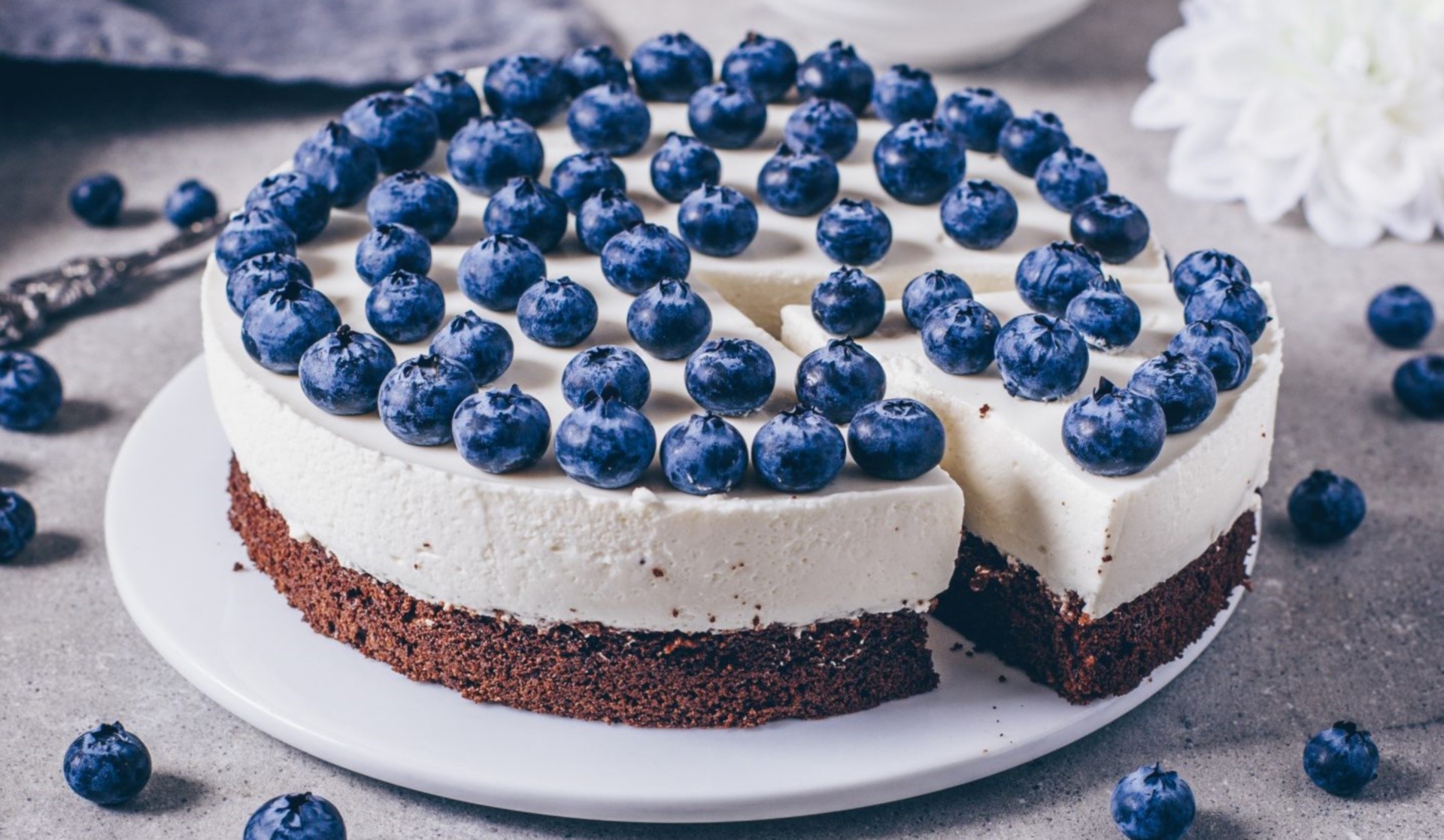 Blueberry cheesecake with chocolate crust HD Wallpaper