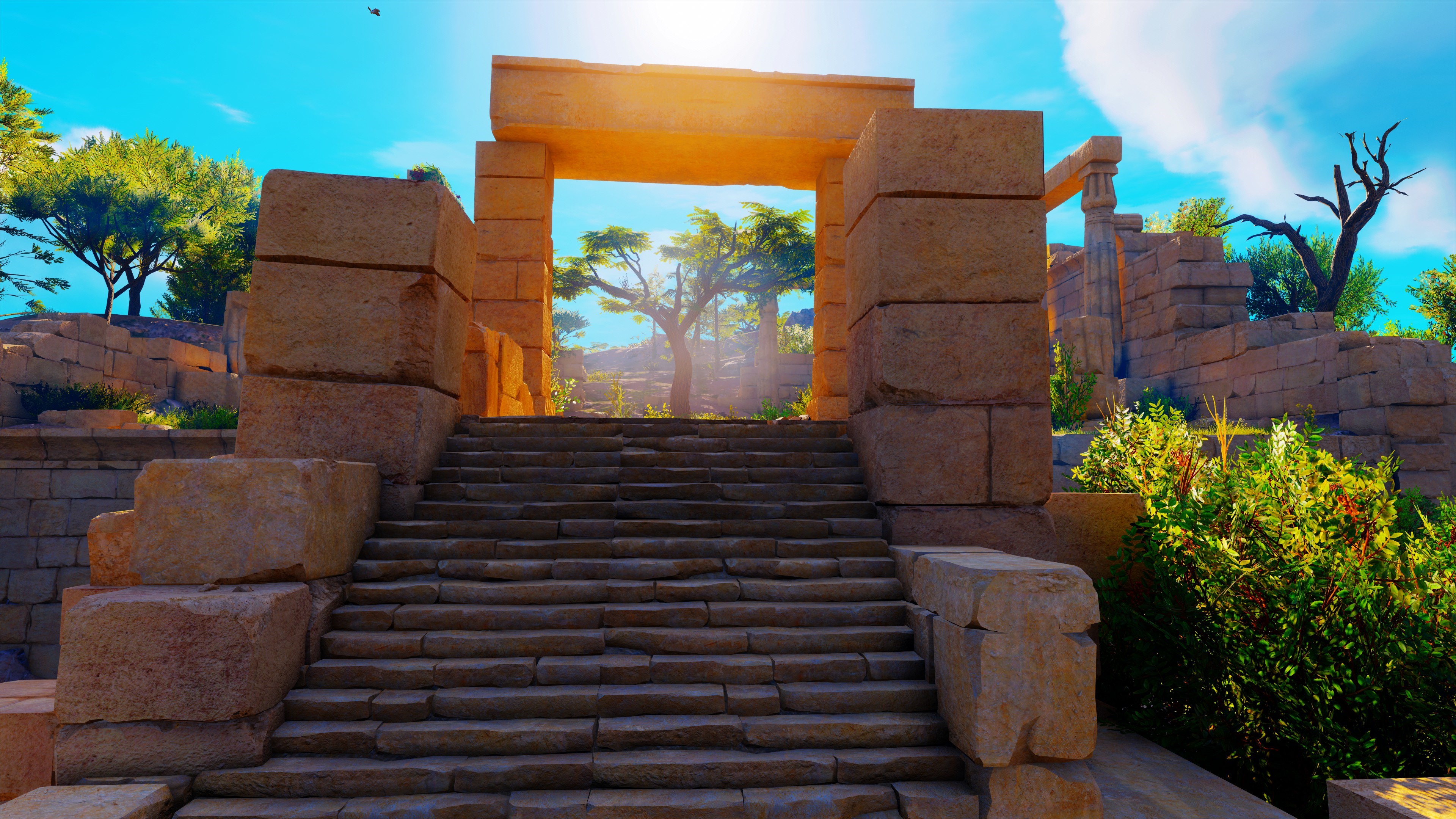 Ancient ruins with stone stairs and trees HD Wallpaper