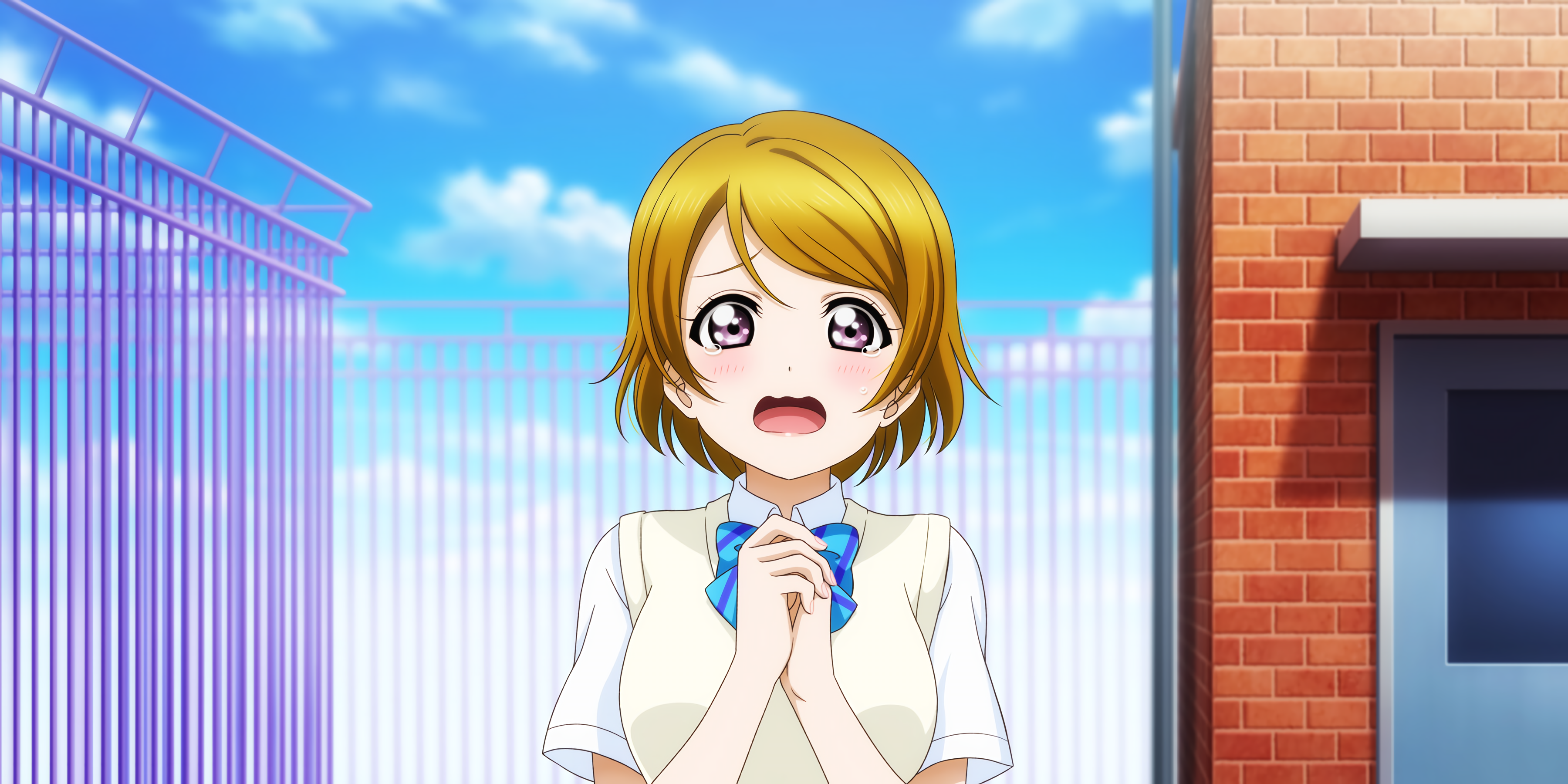 Hanayo Koizumi from Love Live! Series HD Wallpaper