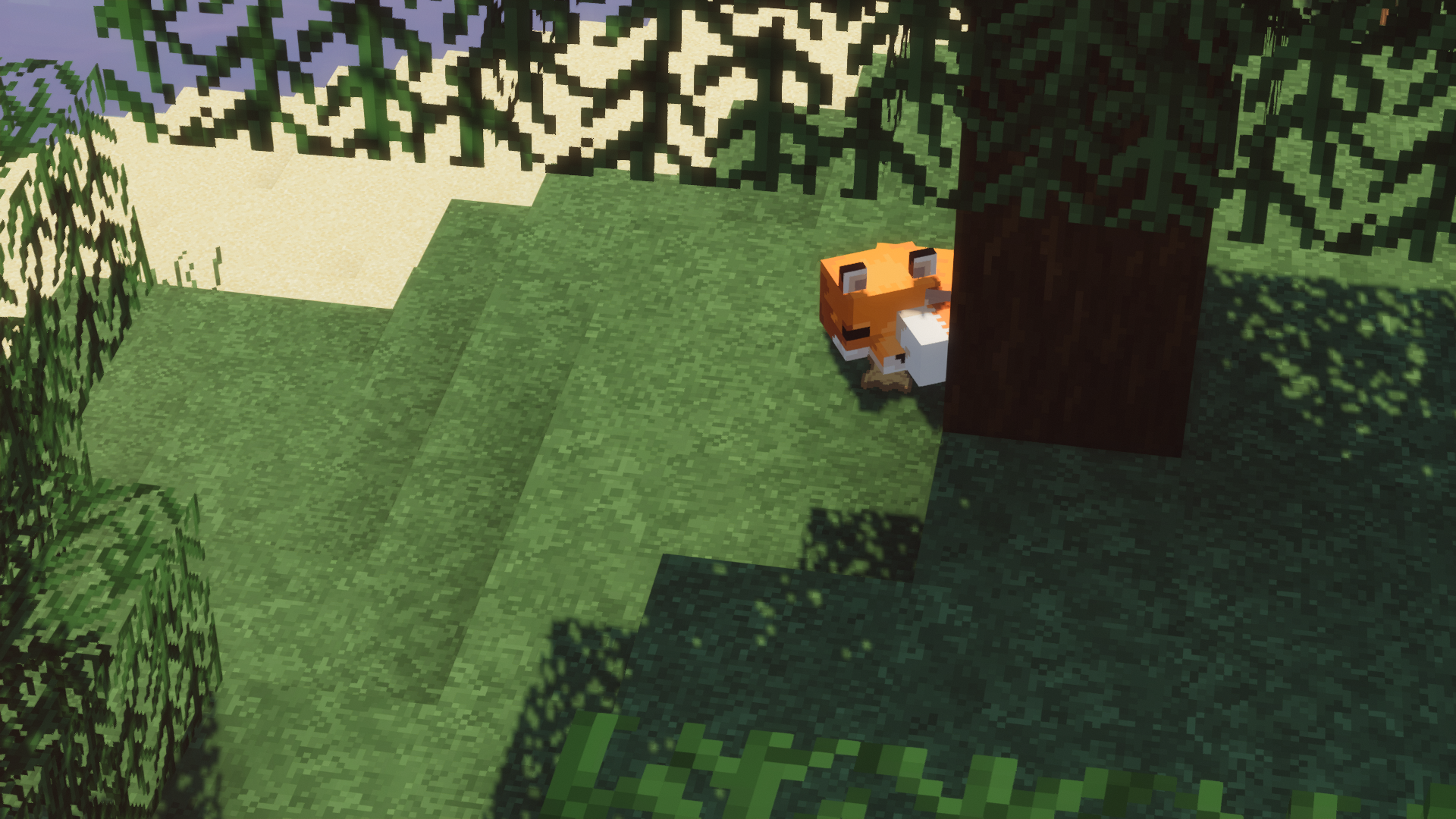 Fox in Minecraft with shaders HD Wallpaper