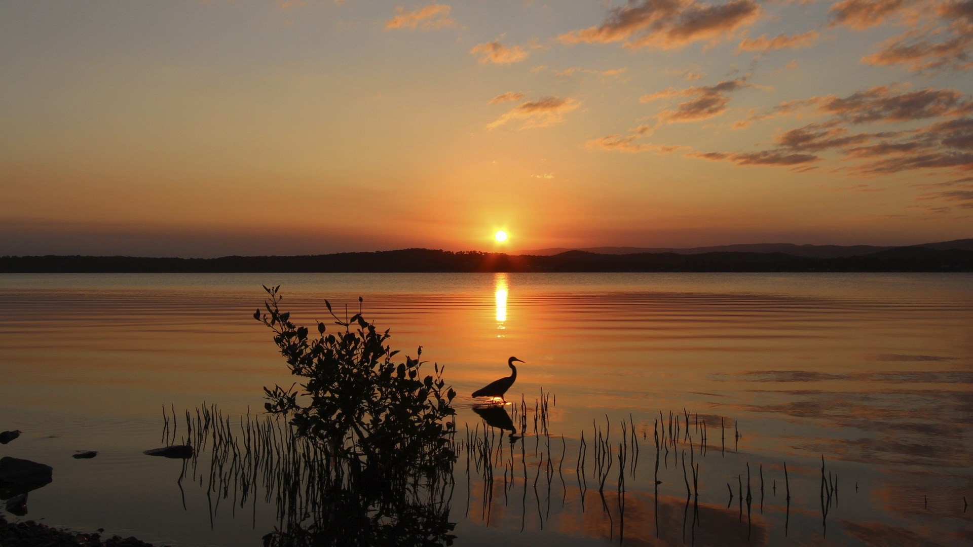 Heron silhouetted at sunset by a lake HD Wallpaper