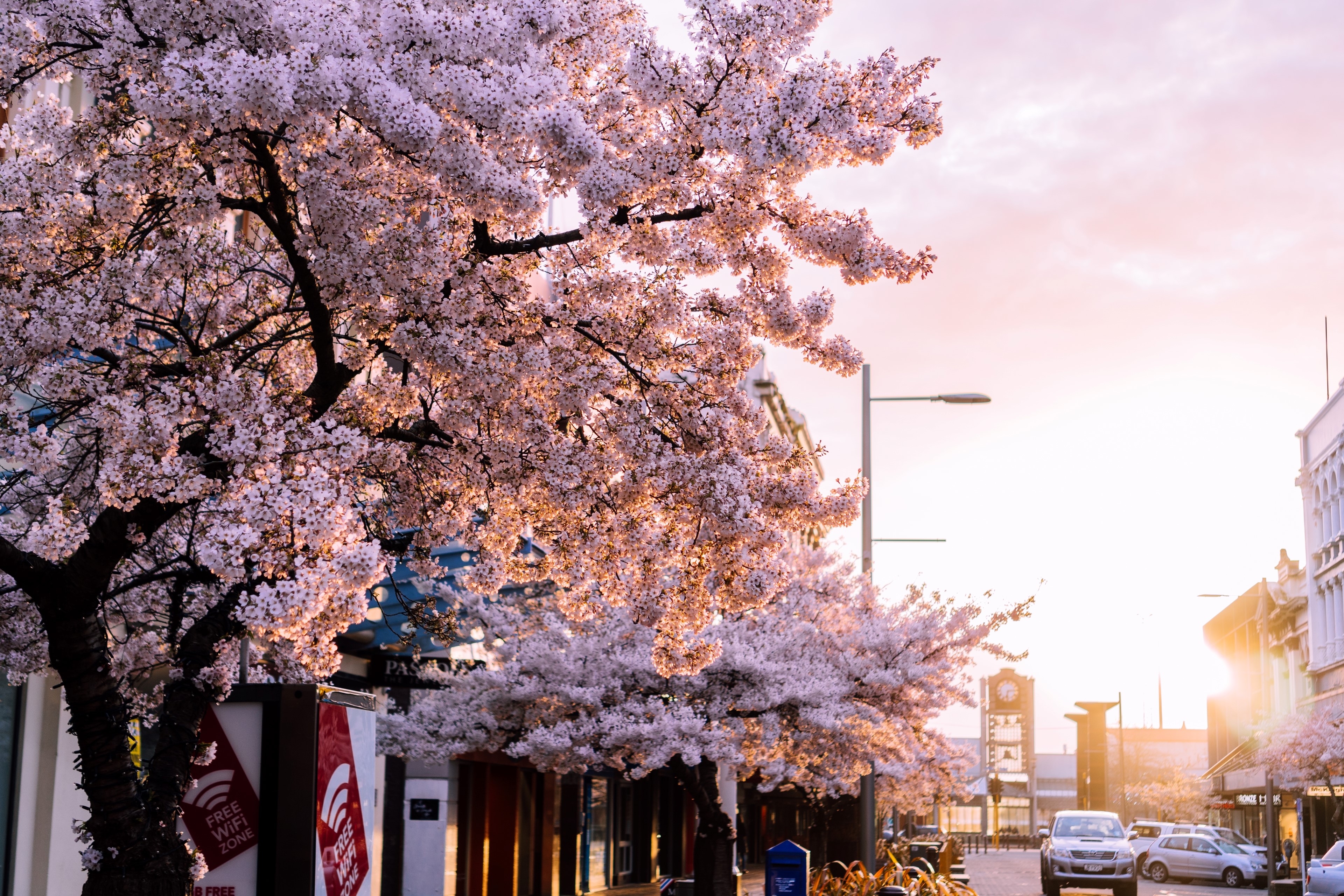 4K Spring Sunset in Invercargill, New Zealand HD Wallpaper