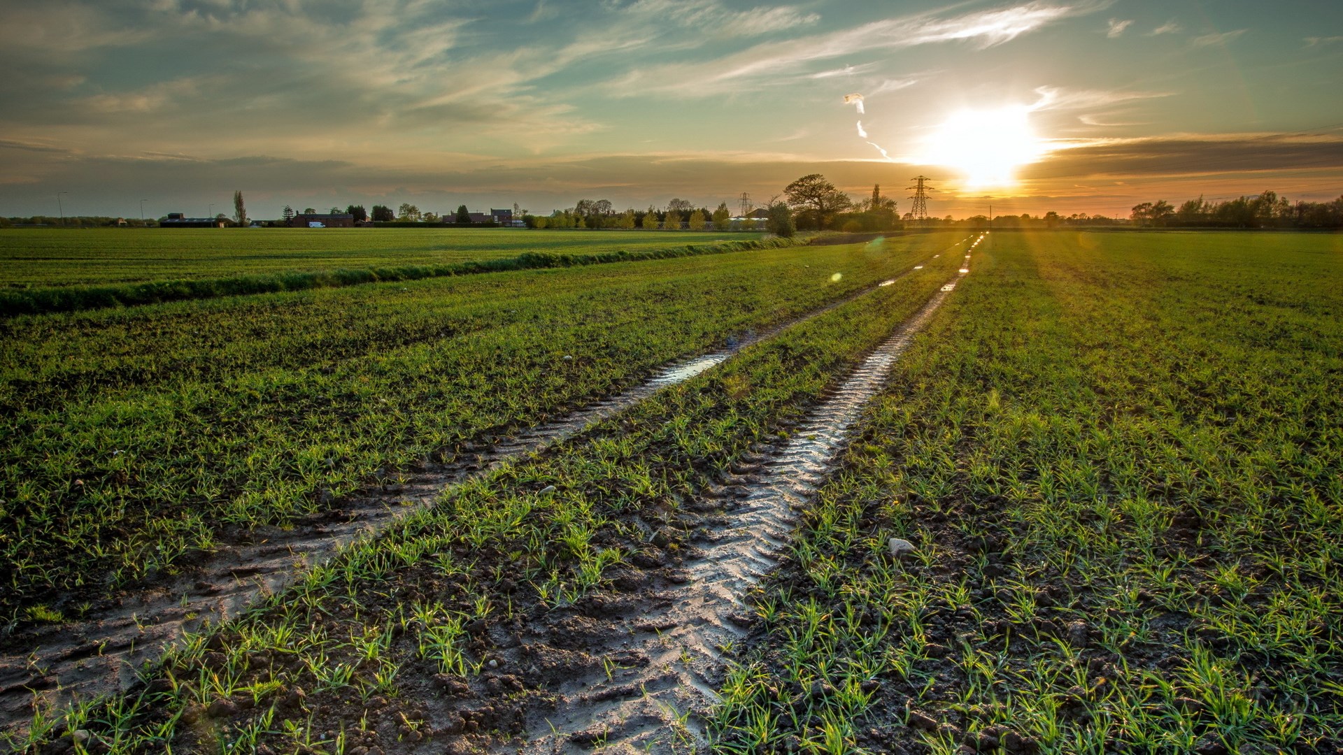 Tractor tracks in a green field at sunset HD Wallpaper