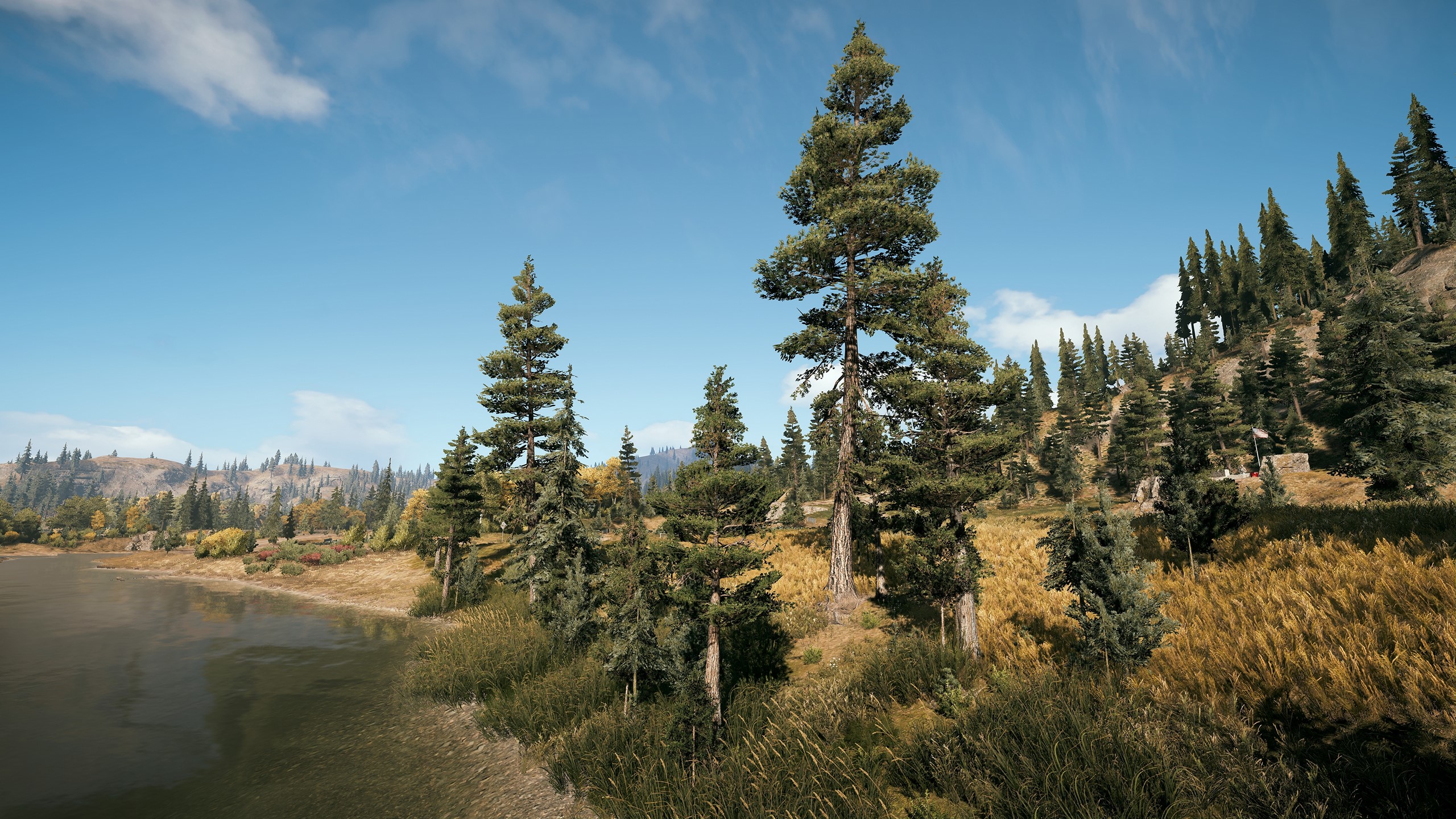 Far Cry 5 landscape with lake and pine trees HD Wallpaper