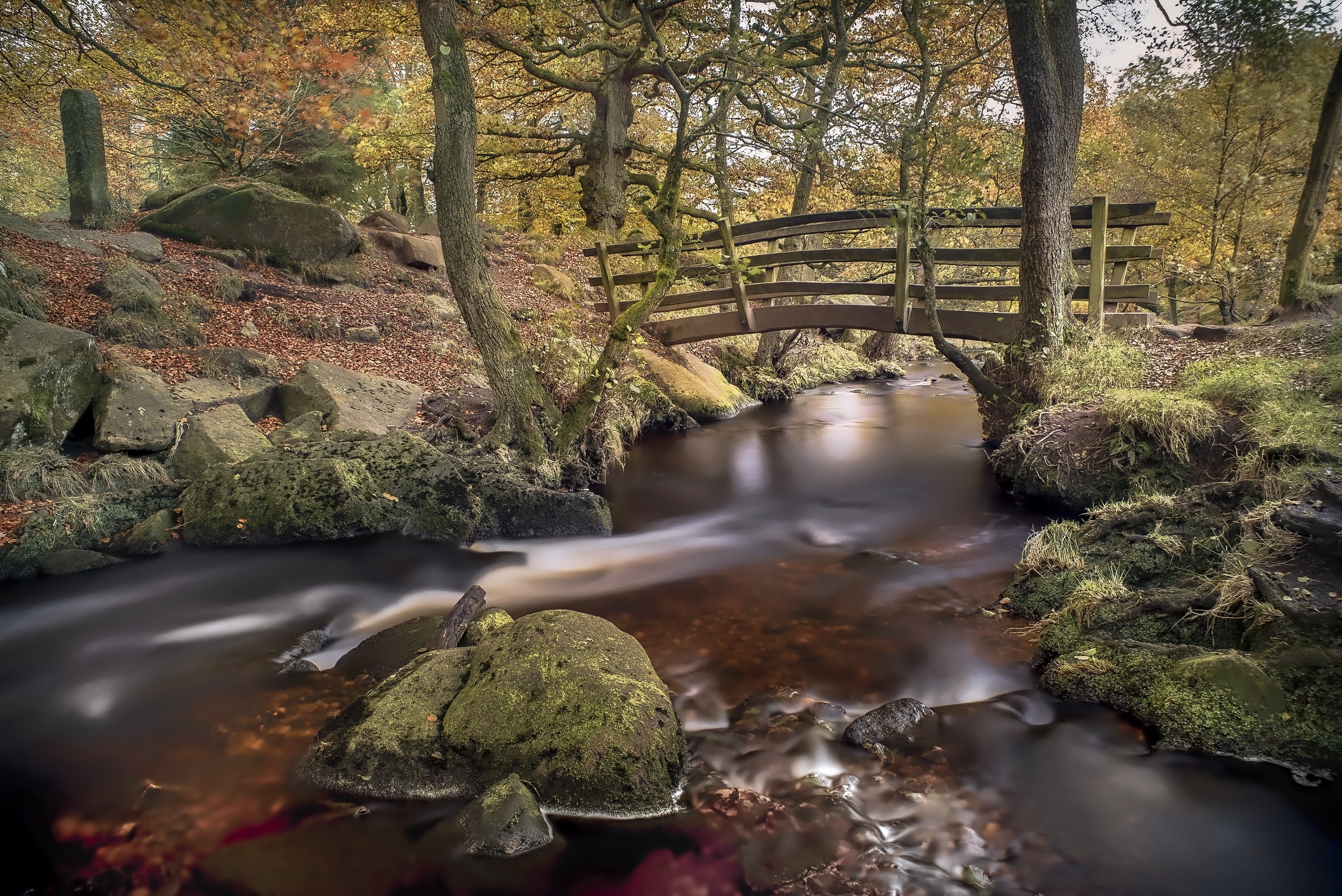Wooden bridge over a stream in a forest during autumn HD Wallpaper