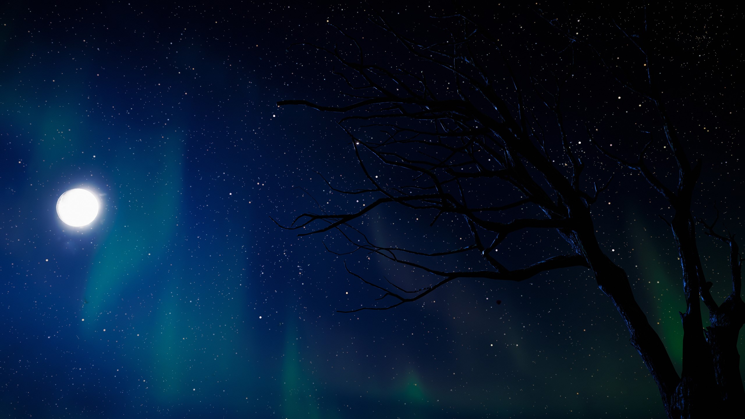 Moonlit night sky with aurora and bare tree branches HD Wallpaper