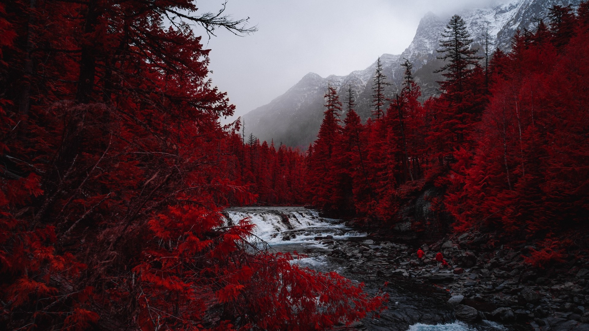 Red forest with river and mountains HD Wallpaper