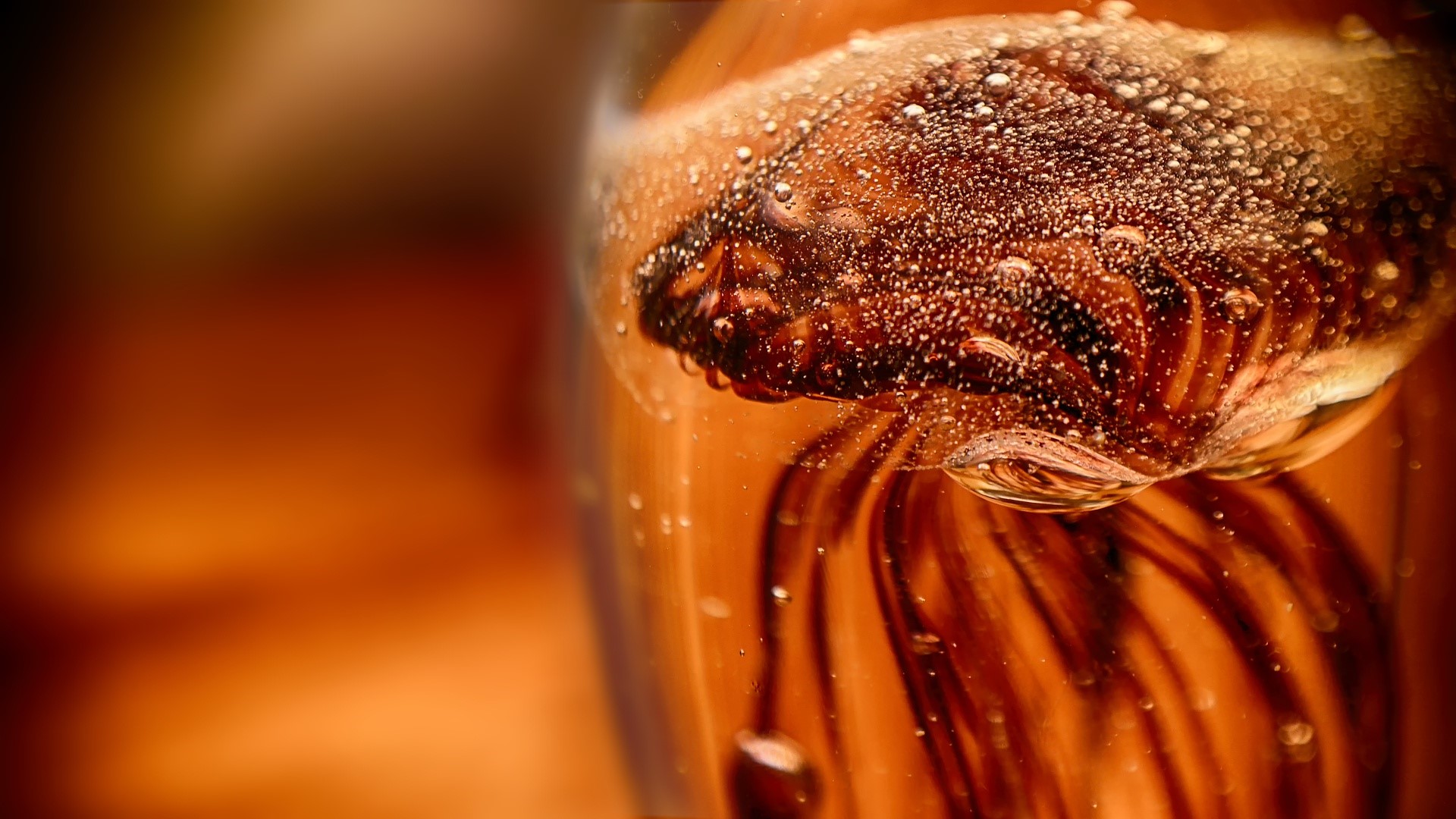 Close-up of a flower in a glass with bubbles HD Wallpaper