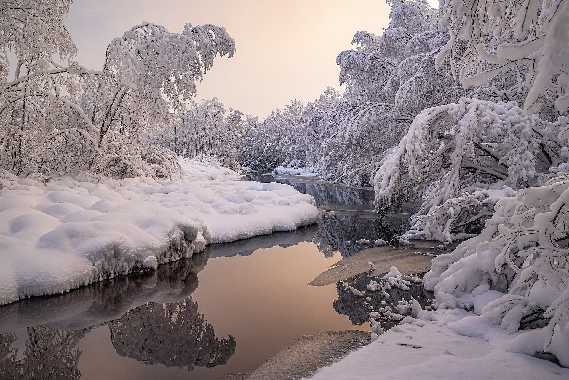 Snow-covered trees line a river in winter HD Wallpaper