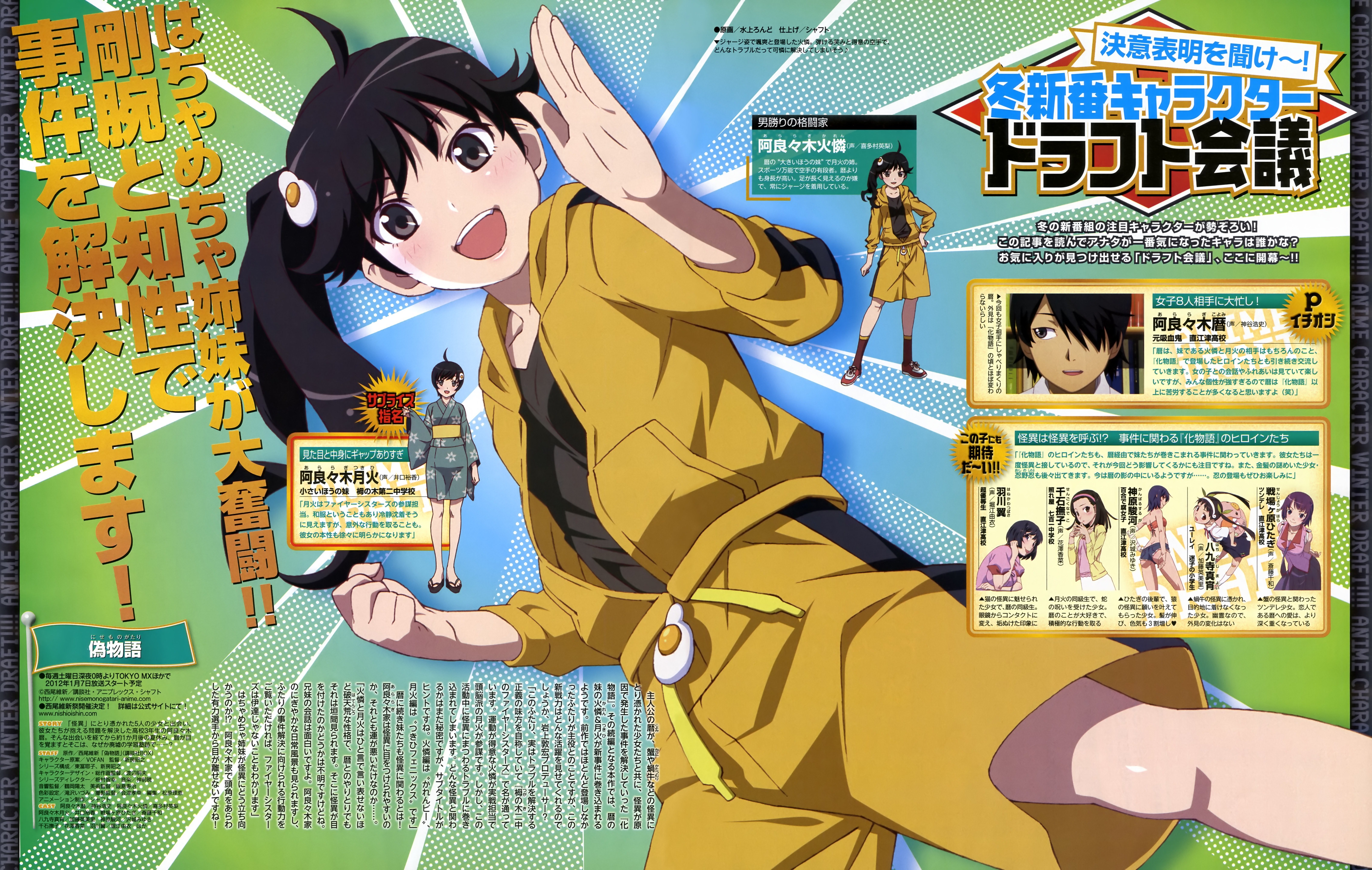 Araragi Karen and Araragi Tsukihi from Monogatari Series HD Wallpaper