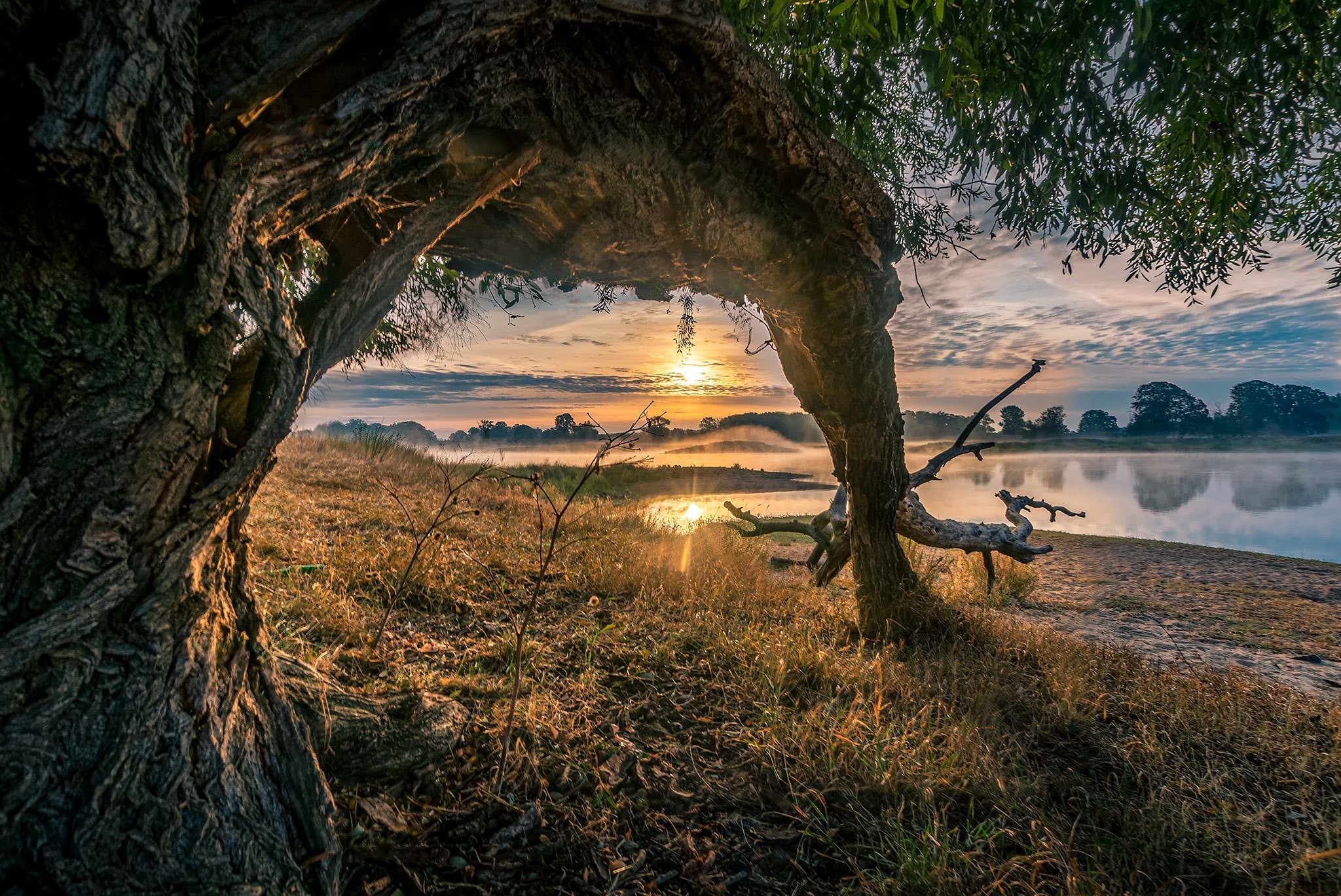 Sunrise over a misty river with trees HD Wallpaper