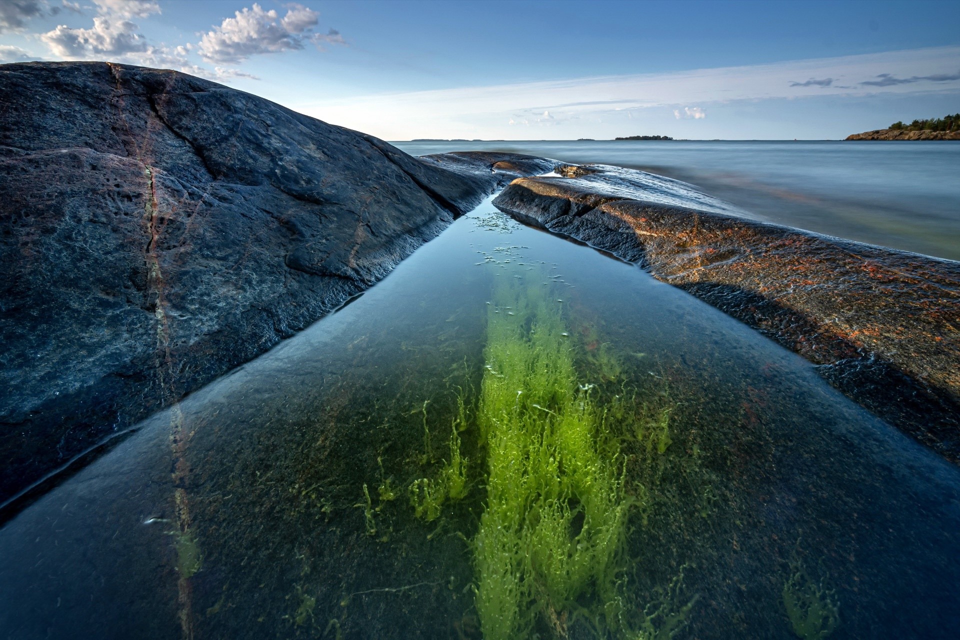 Rocky coast with tidal pool and green plants HD Wallpaper