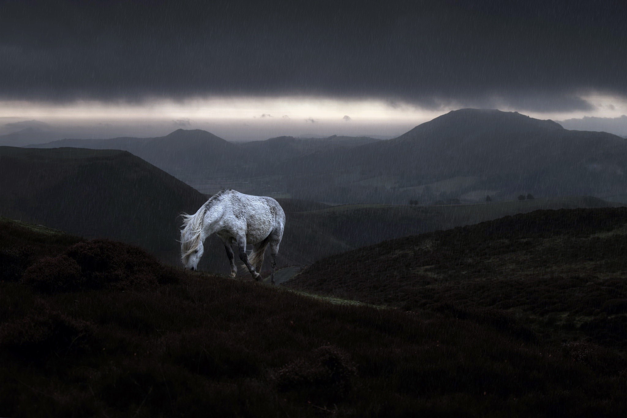 A white horse grazing in a rainy mountain landscape HD Wallpaper