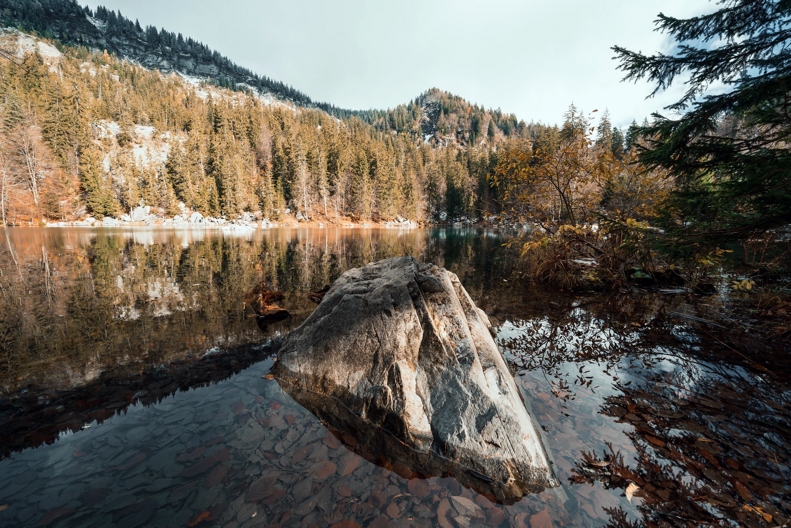 Rock in a lake with autumn forest and mountains HD Wallpaper