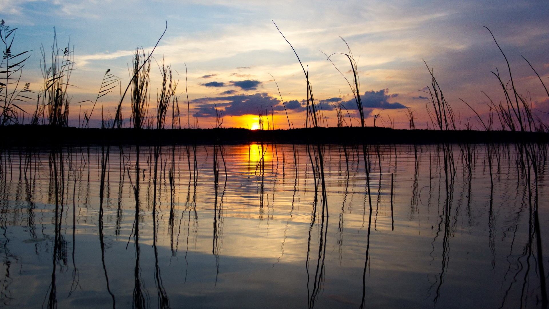 Sunset over a lake with reeds and reflections HD Wallpaper