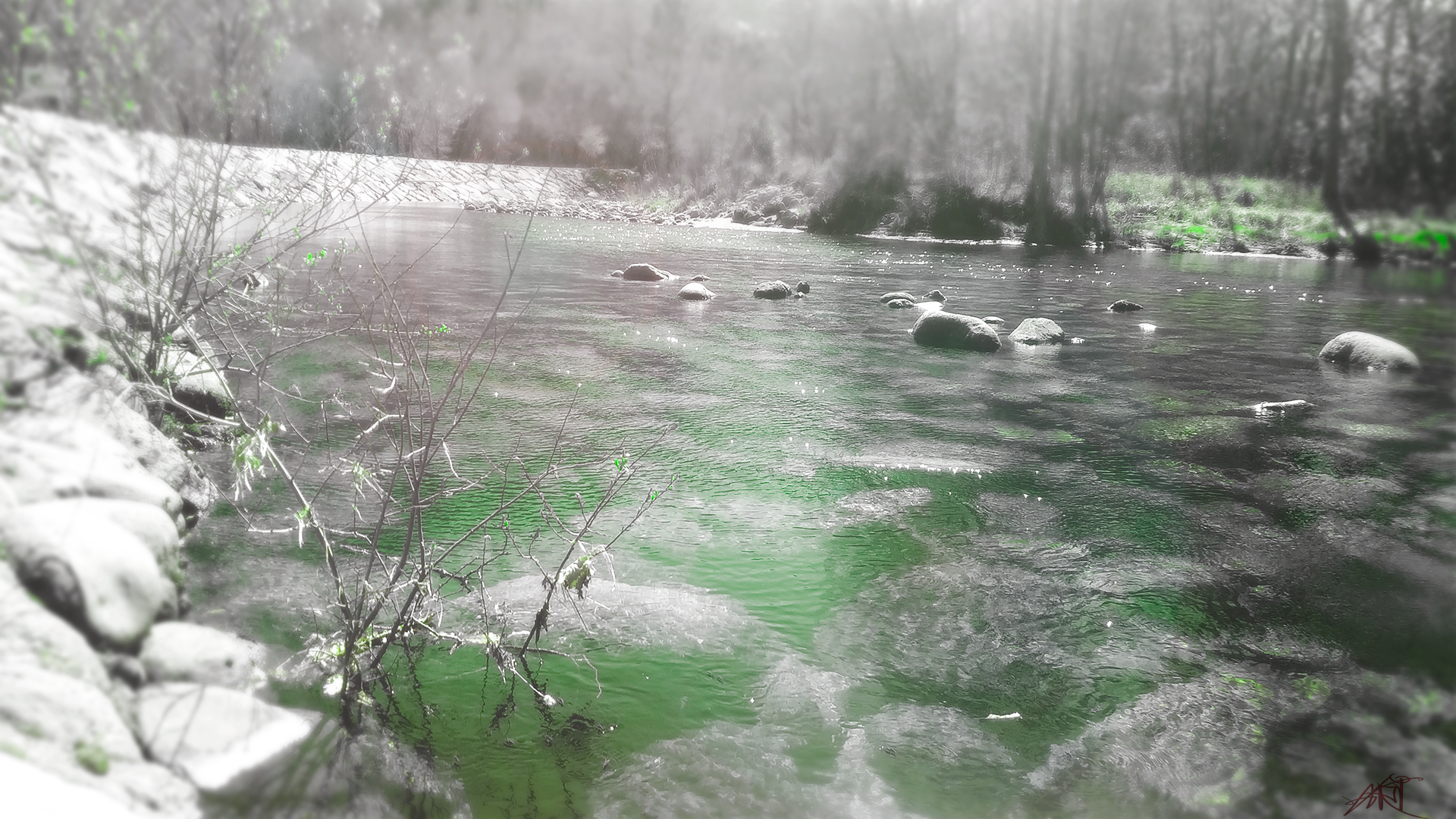 River with rocks and trees HD Wallpaper