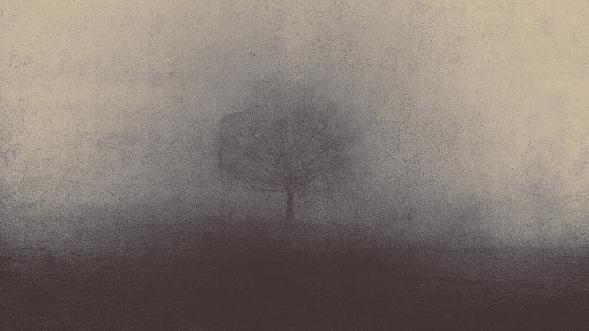 Faded tree in mist HD Wallpaper