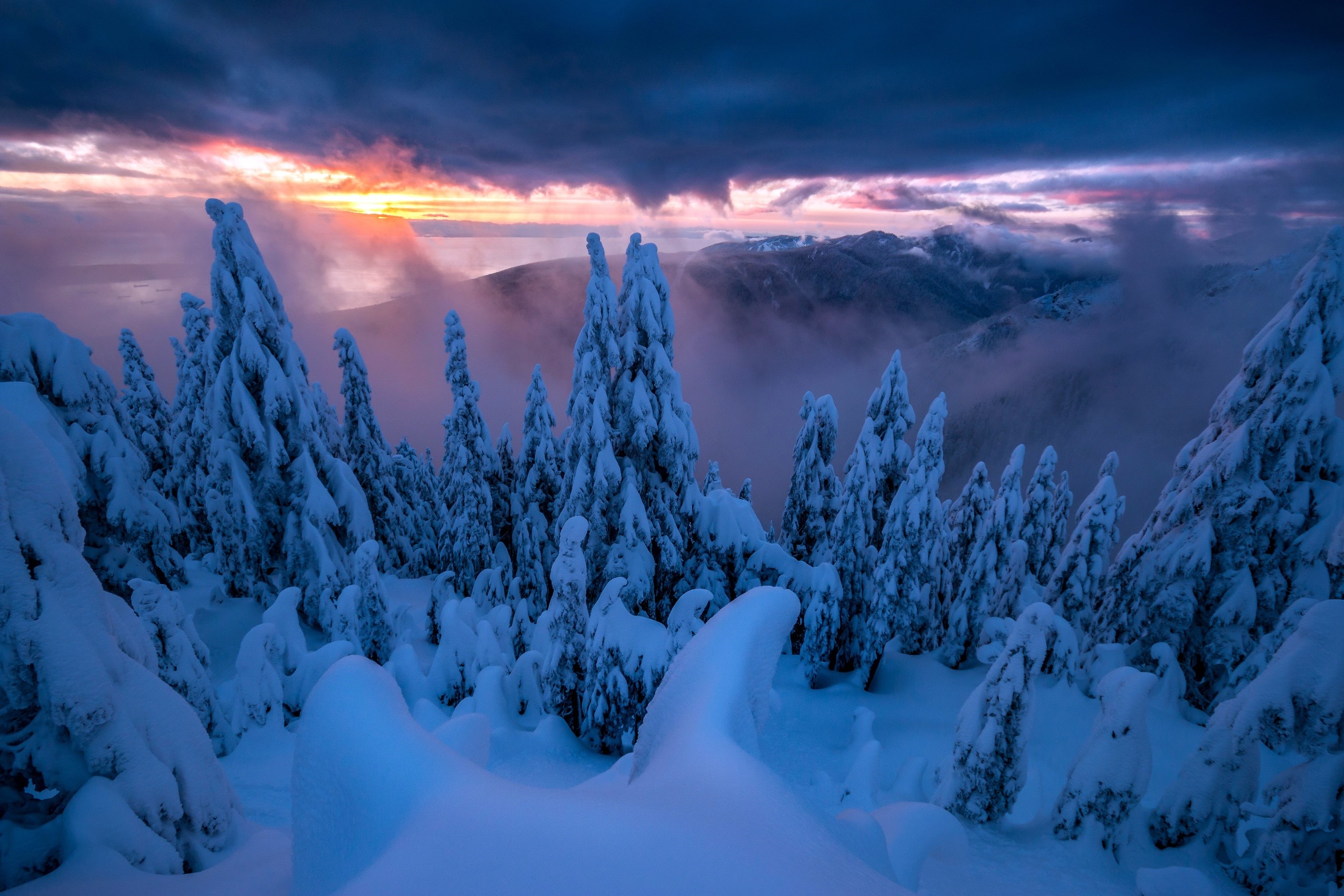 Snow-covered trees at sunset with dramatic sky HD Wallpaper