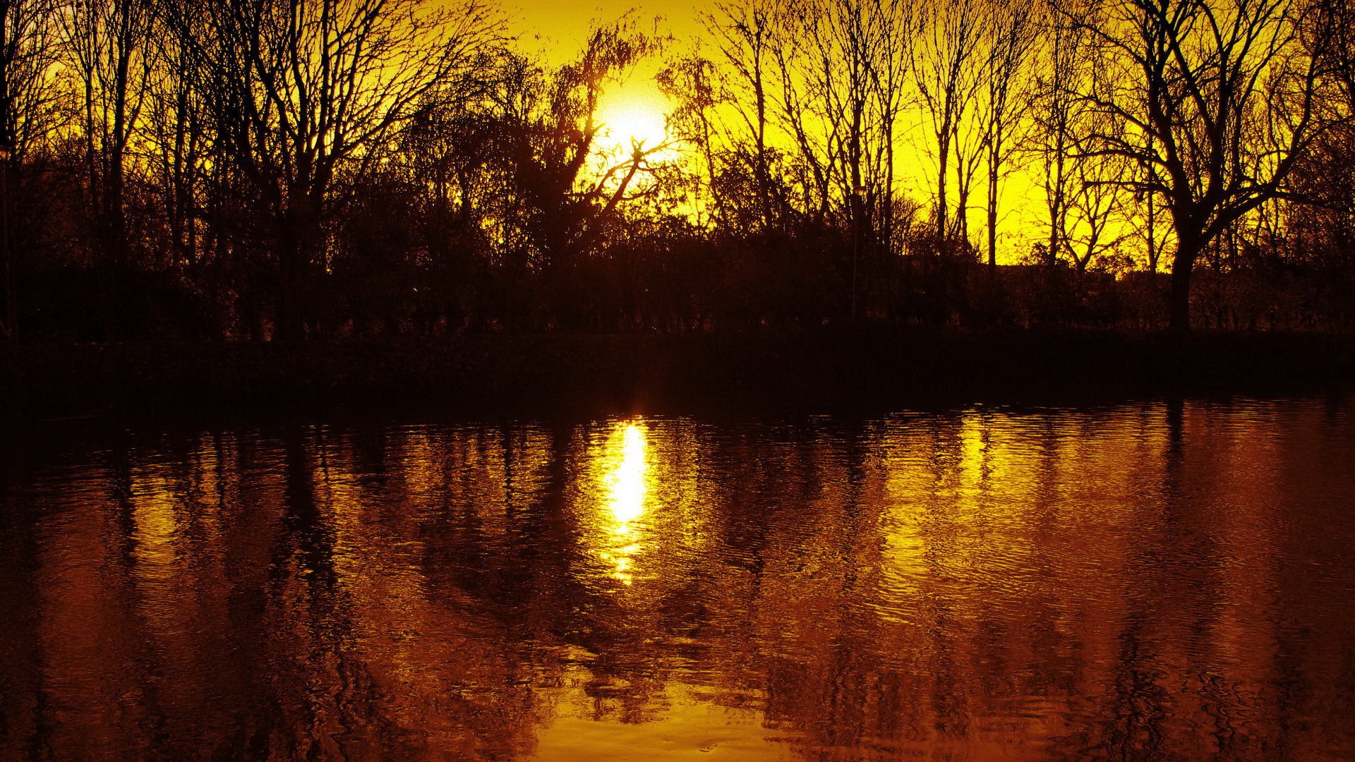 Sunset over a river with silhouetted trees HD Wallpaper