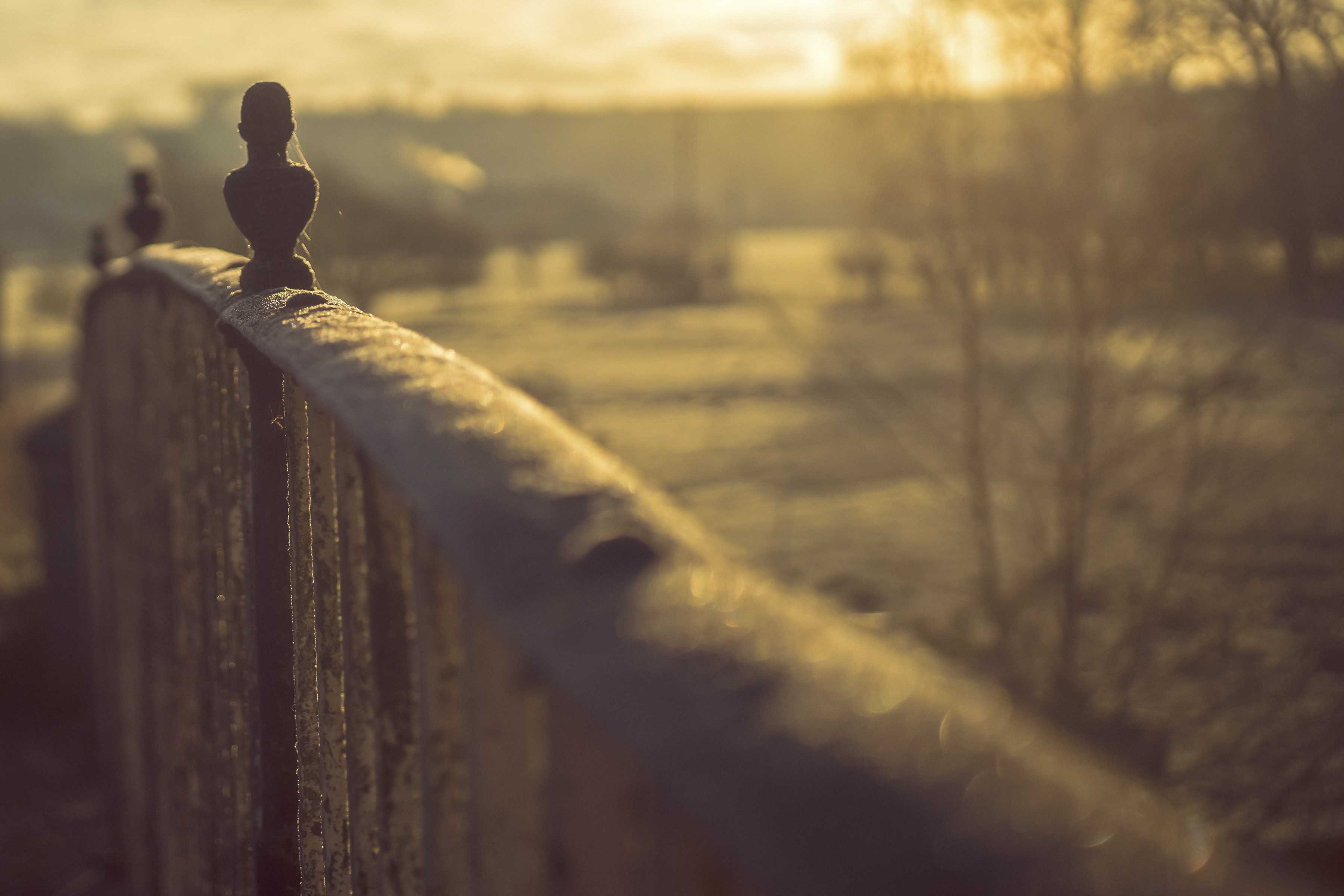 Winter railing with frost and sunrise HD Wallpaper
