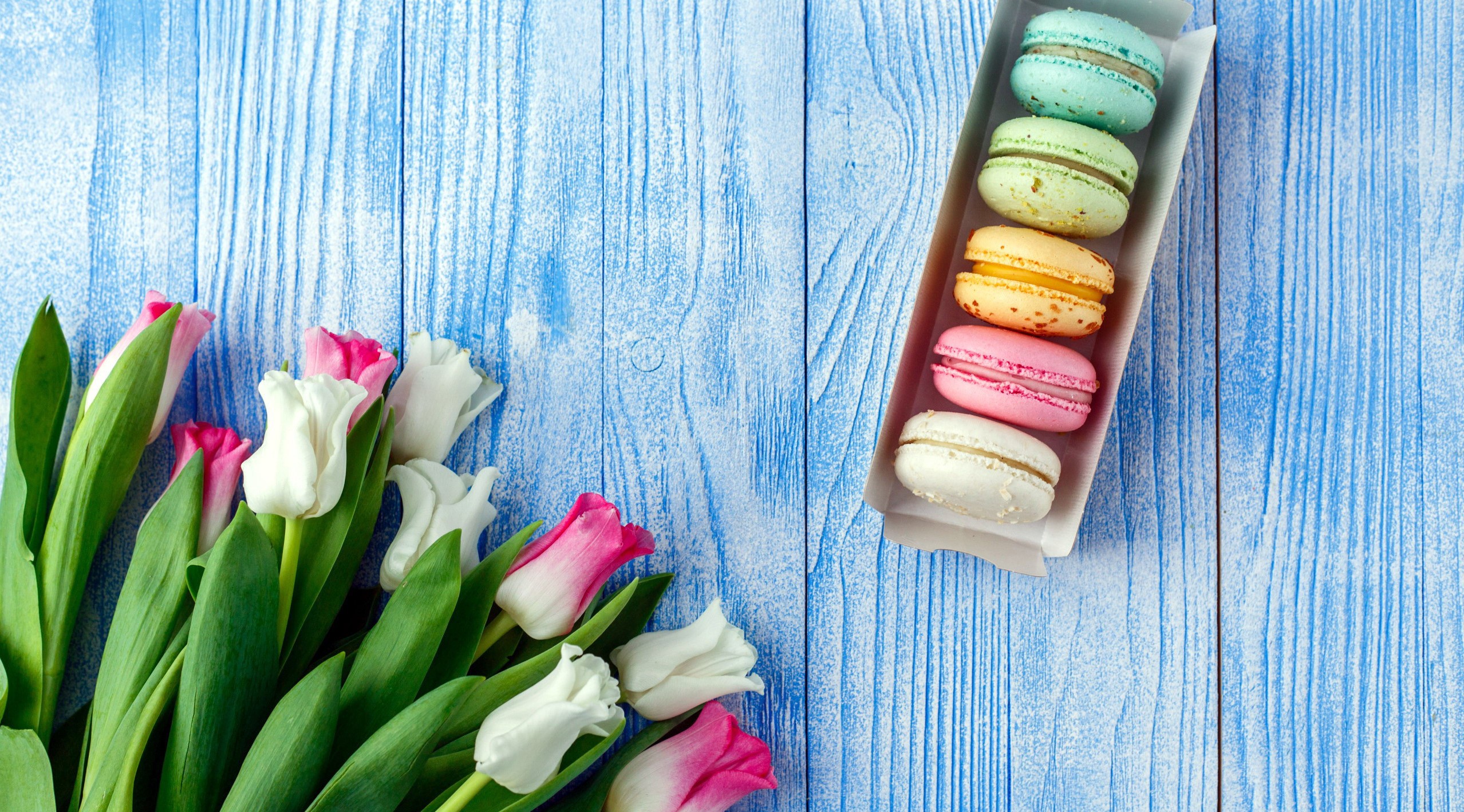 Colorful tulips and macarons on a blue wooden surface HD Wallpaper