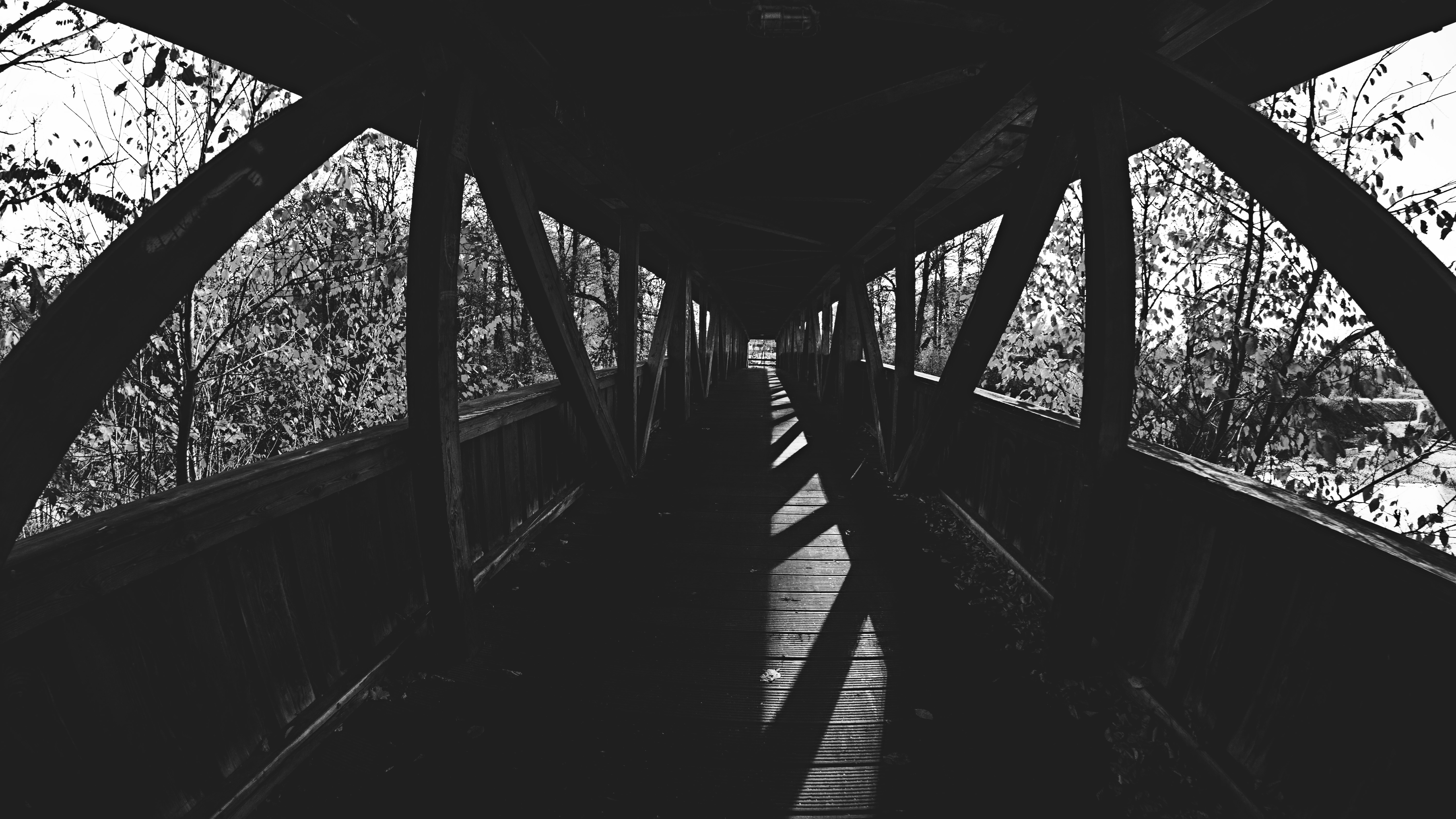 Monochrome fisheye view of a dark wooden bridge HD Wallpaper