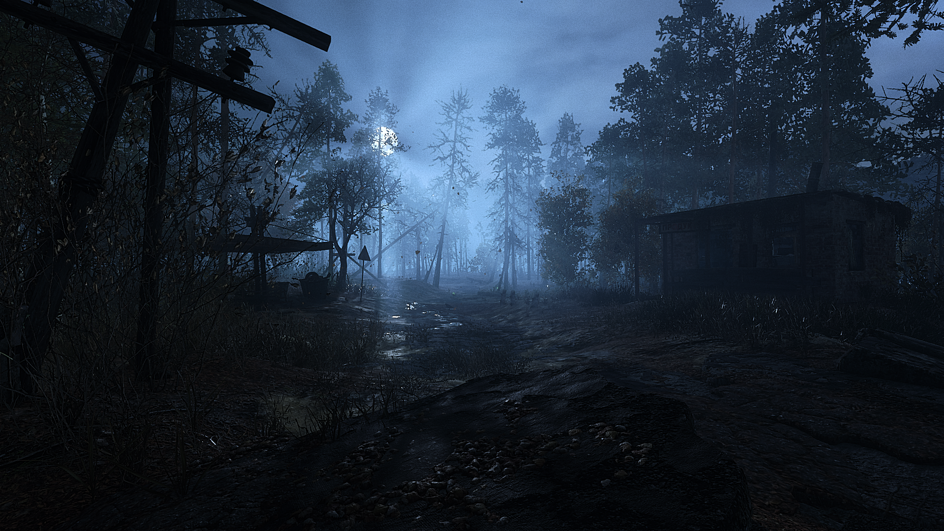 Artyom from Metro Exodus in a foggy forest HD Wallpaper