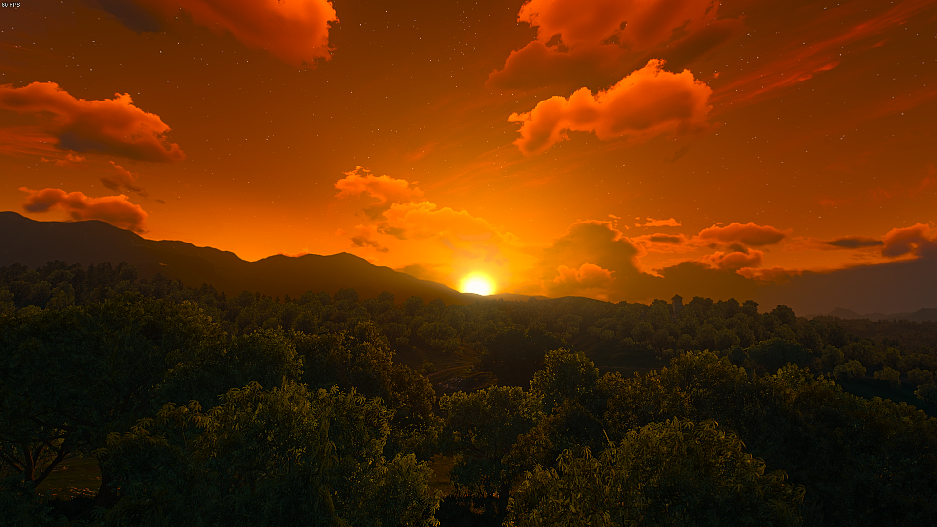 The Witcher 3: Wild Hunt sunset over forest and mountains HD Wallpaper