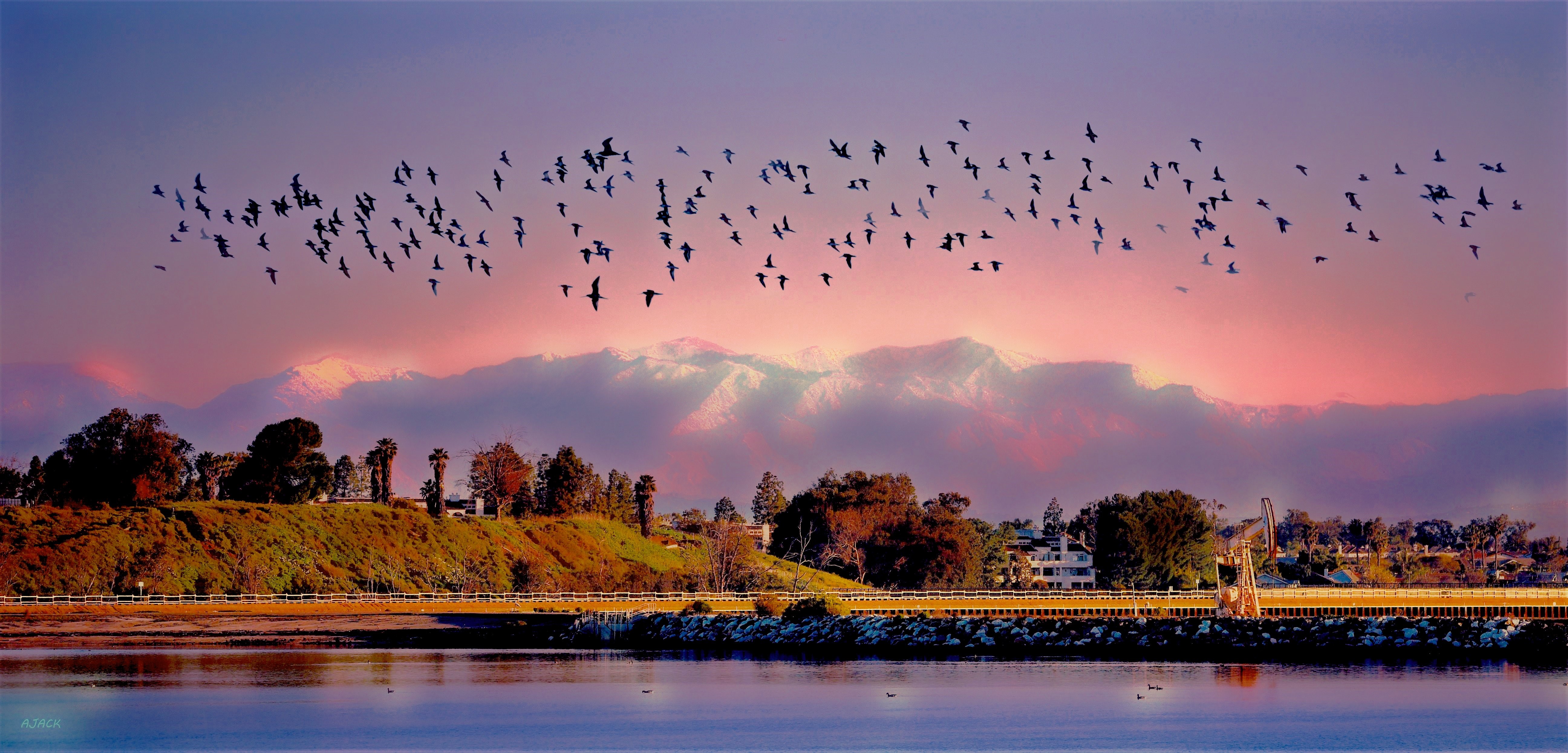 Flock of birds over mountains and water HD Wallpaper