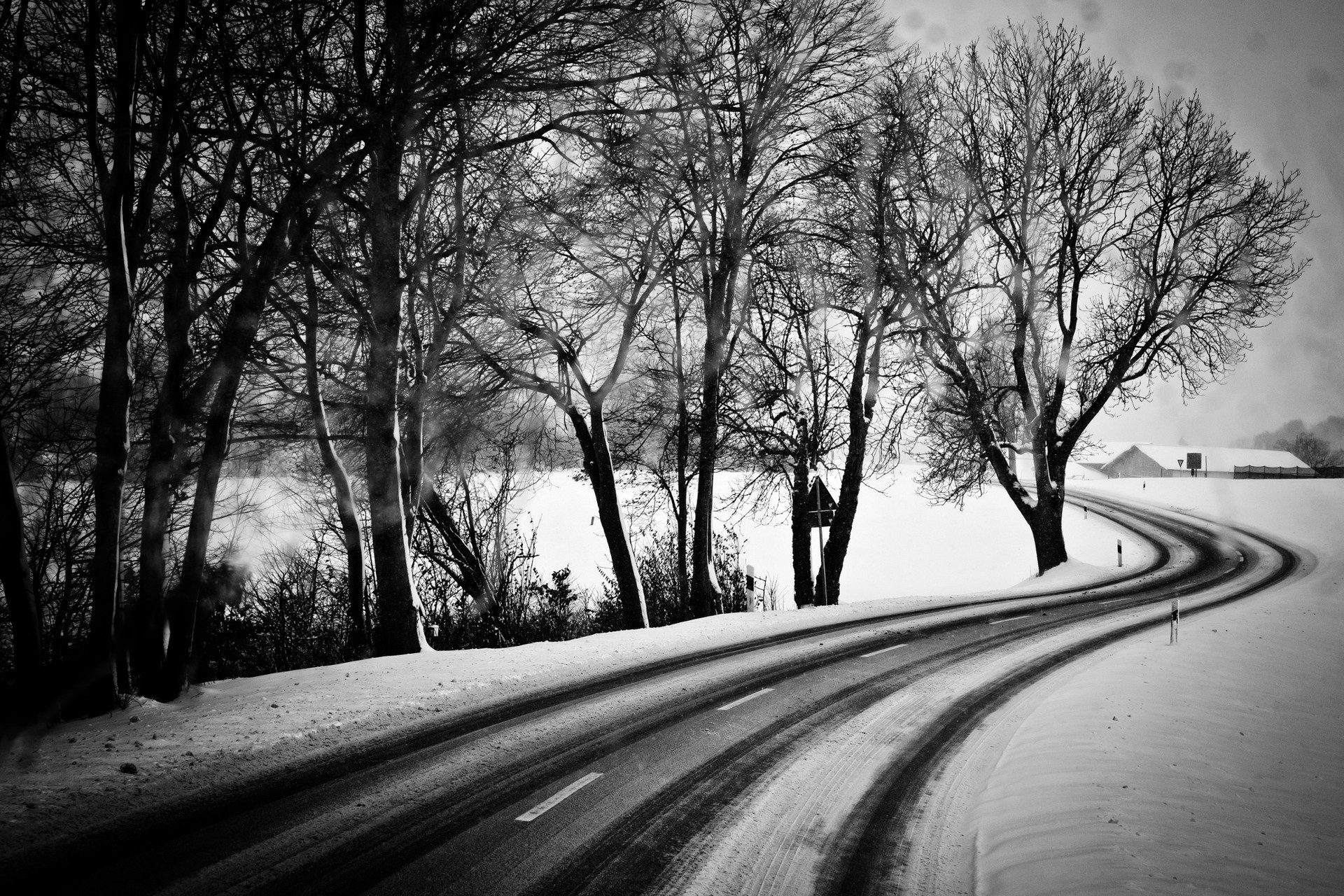 Winding road through snowy trees in monochrome HD Wallpaper