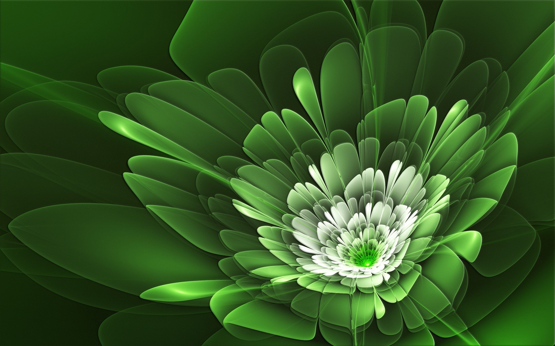 Green fractal flower with white center HD Wallpaper