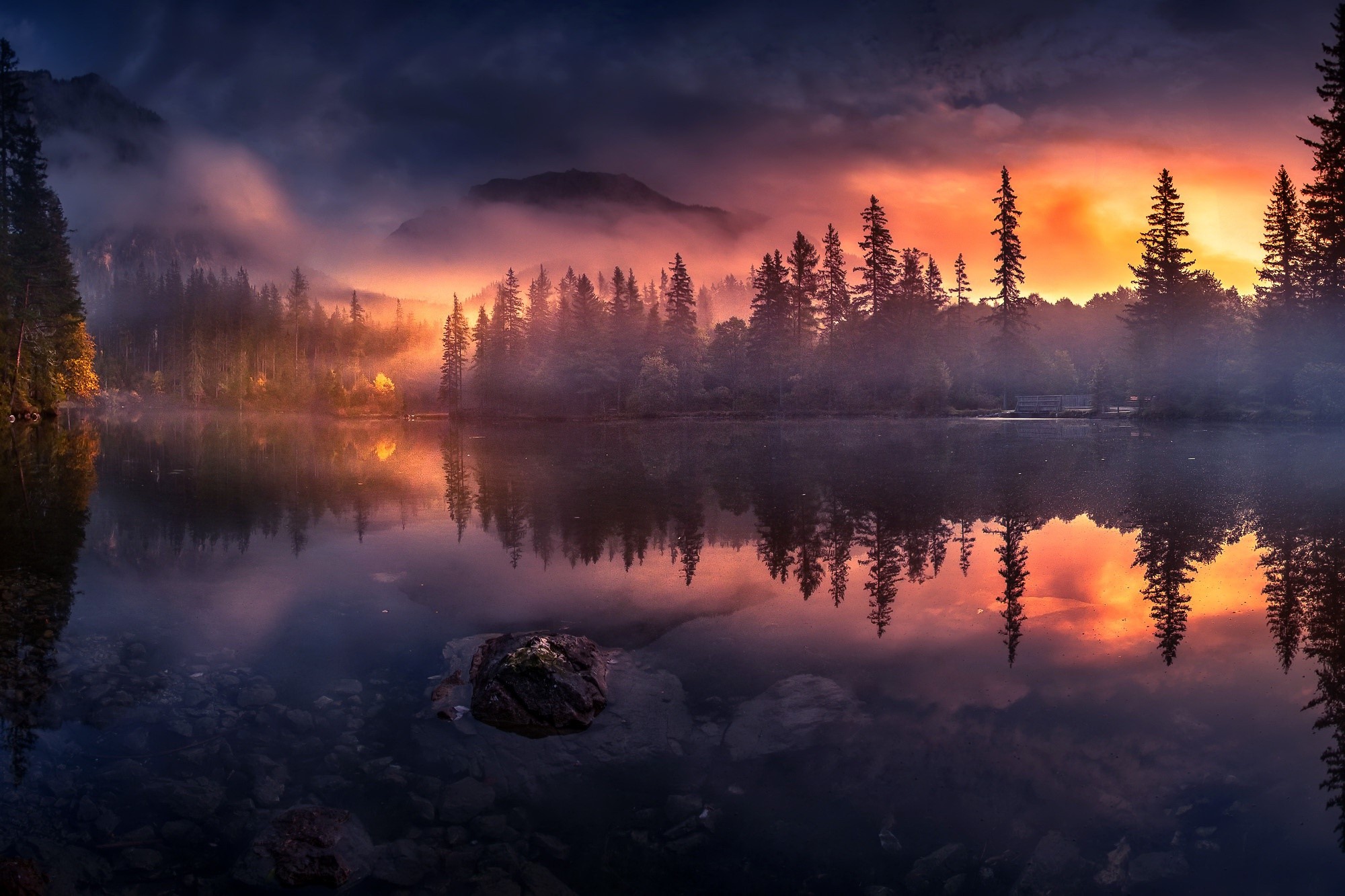Misty lake at sunset with pine trees and reflection HD Wallpaper