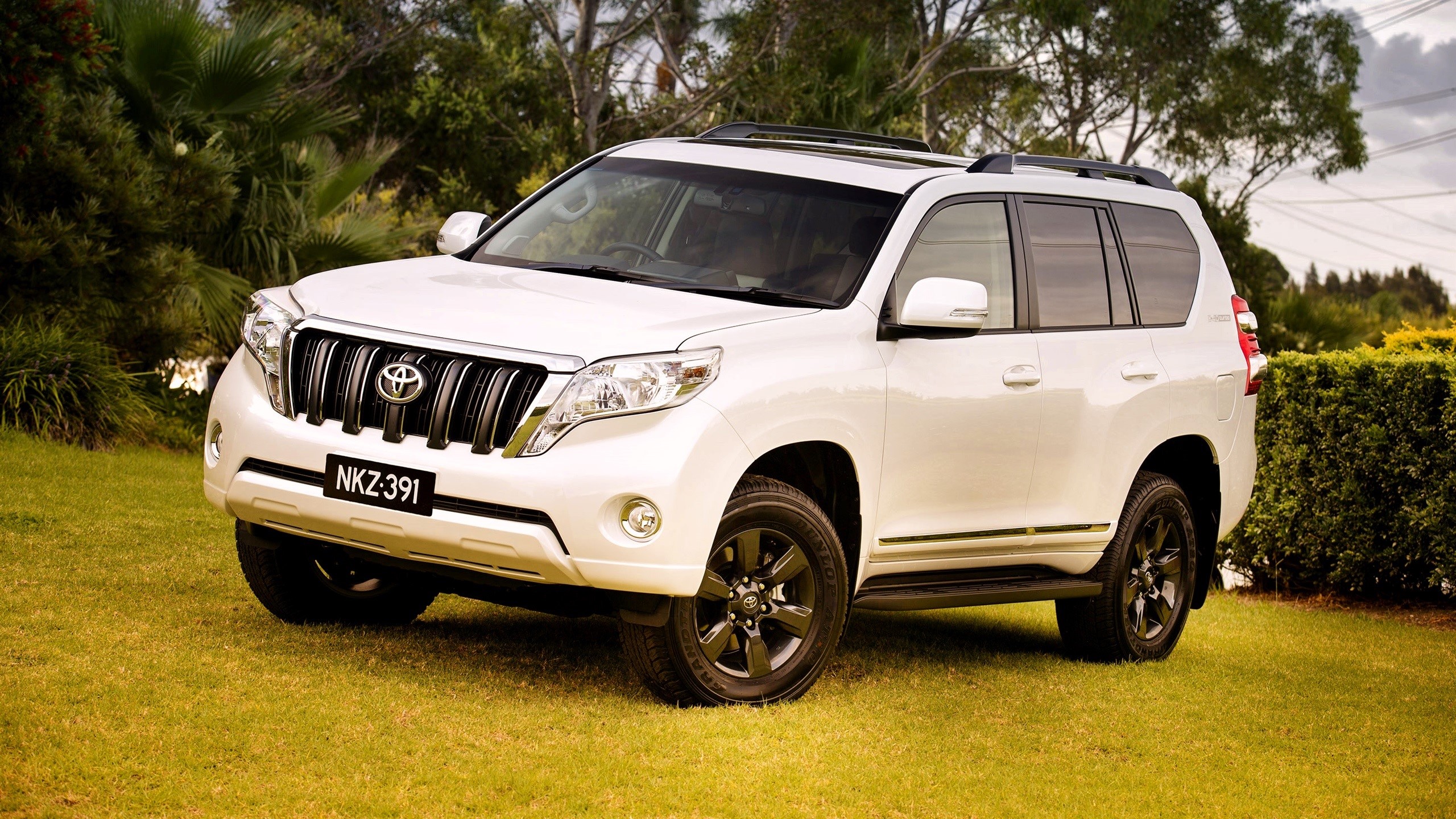 White Toyota Land Cruiser Prado on grass HD Wallpaper