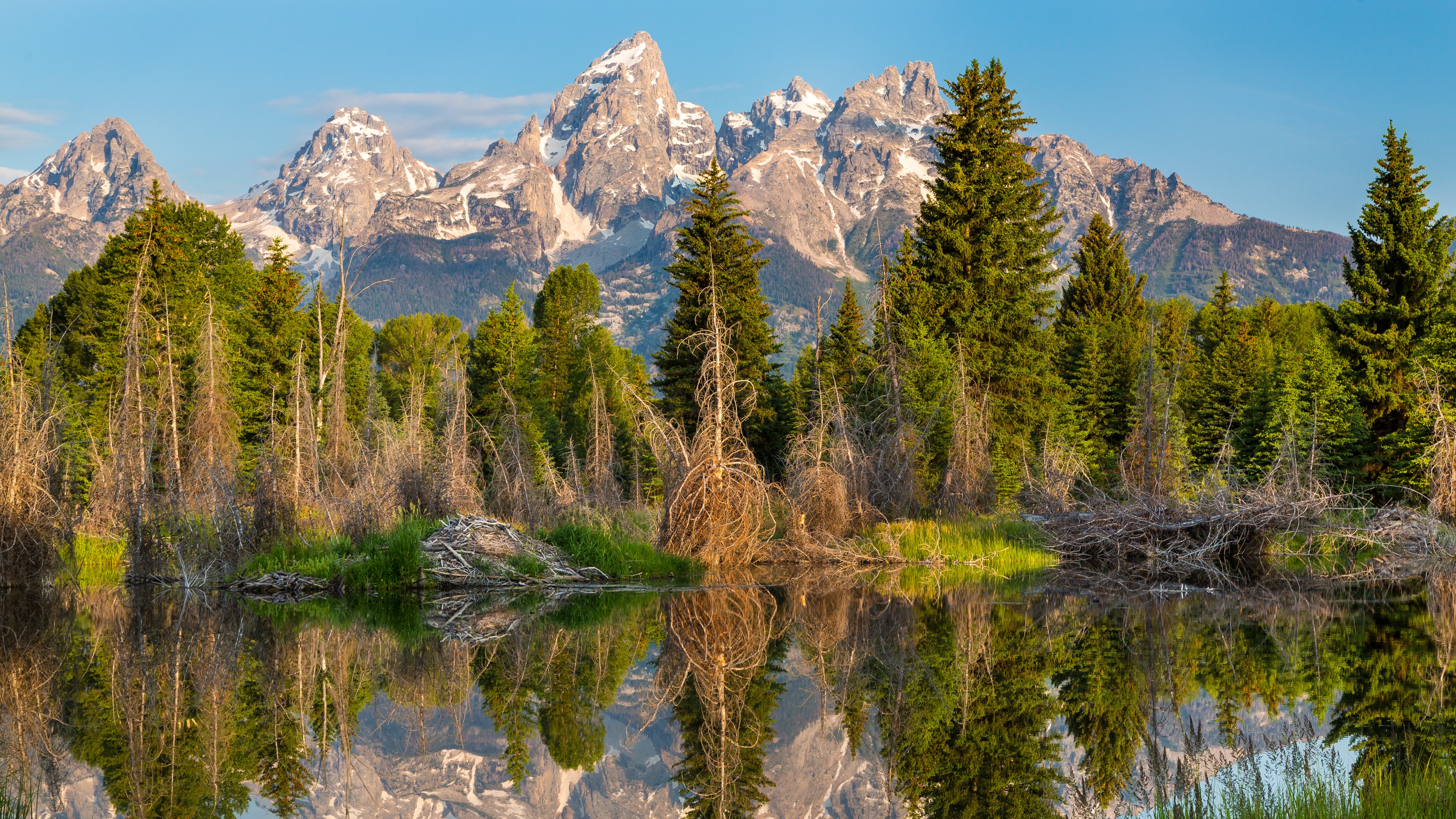 4K landscape of mountains and forest reflected in water HD Wallpaper