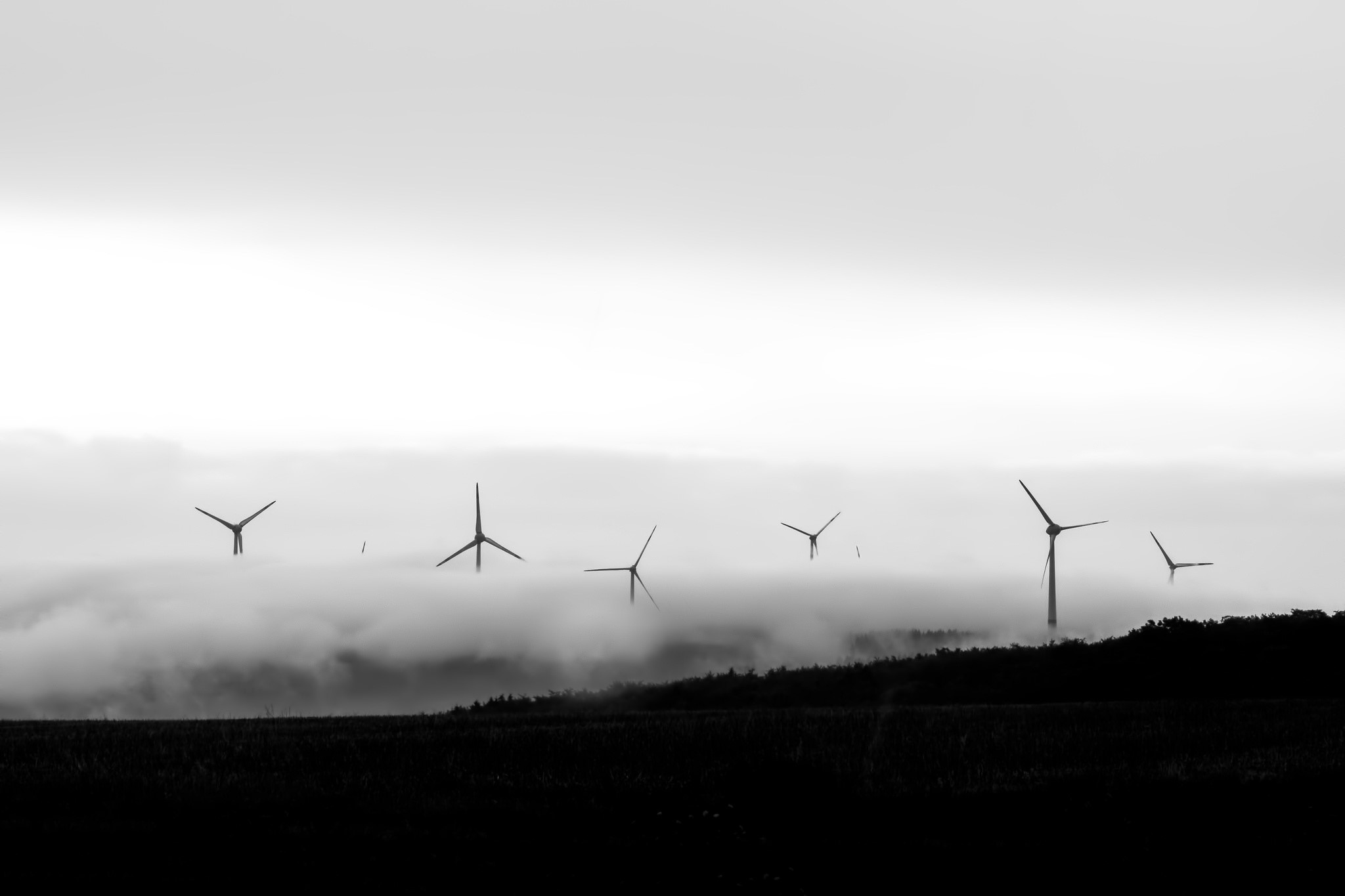 Wind turbines in mist at sunrise HD Wallpaper