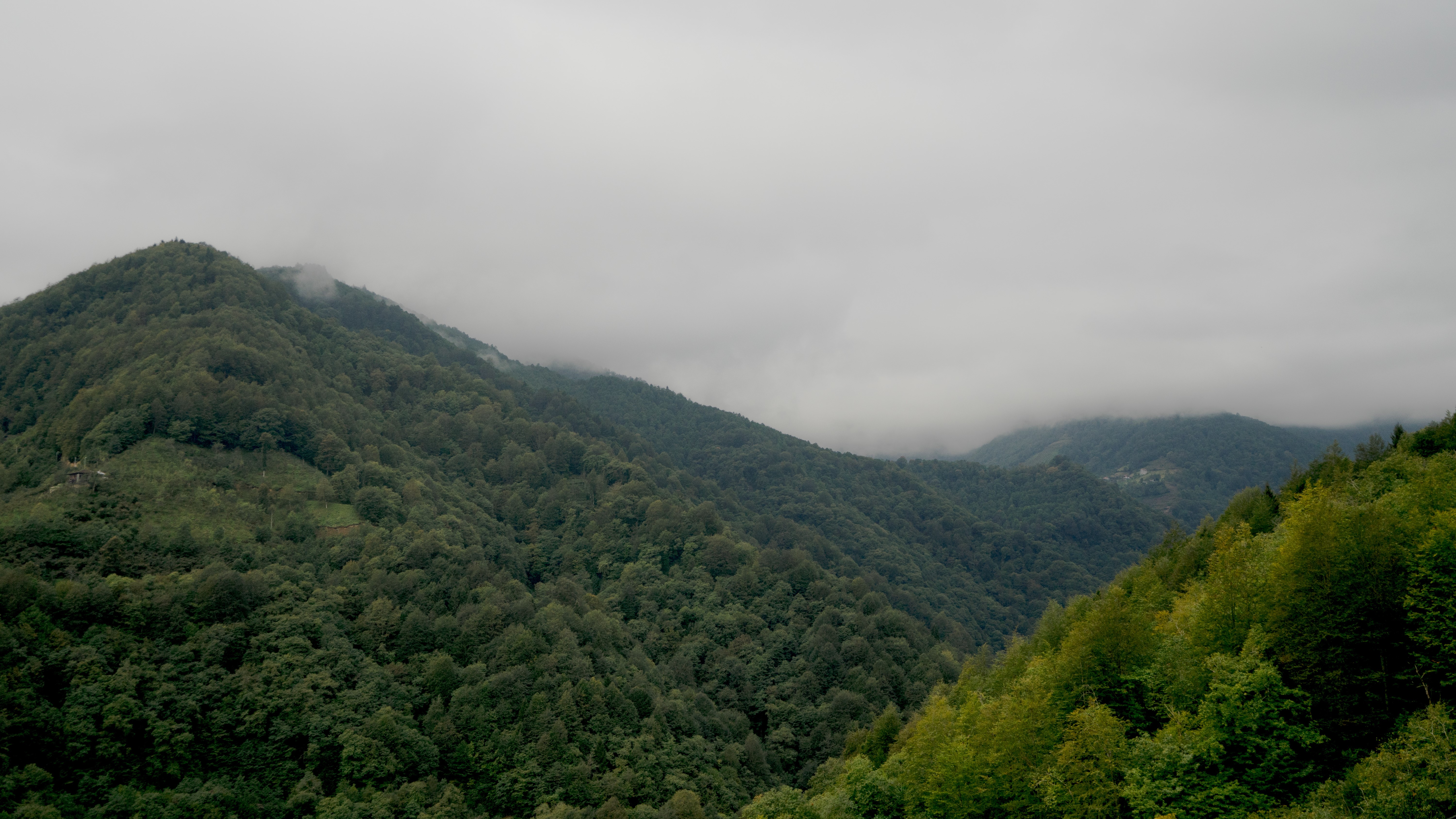 Misty mountains and forest landscape in Trabzon, Turkey HD Wallpaper