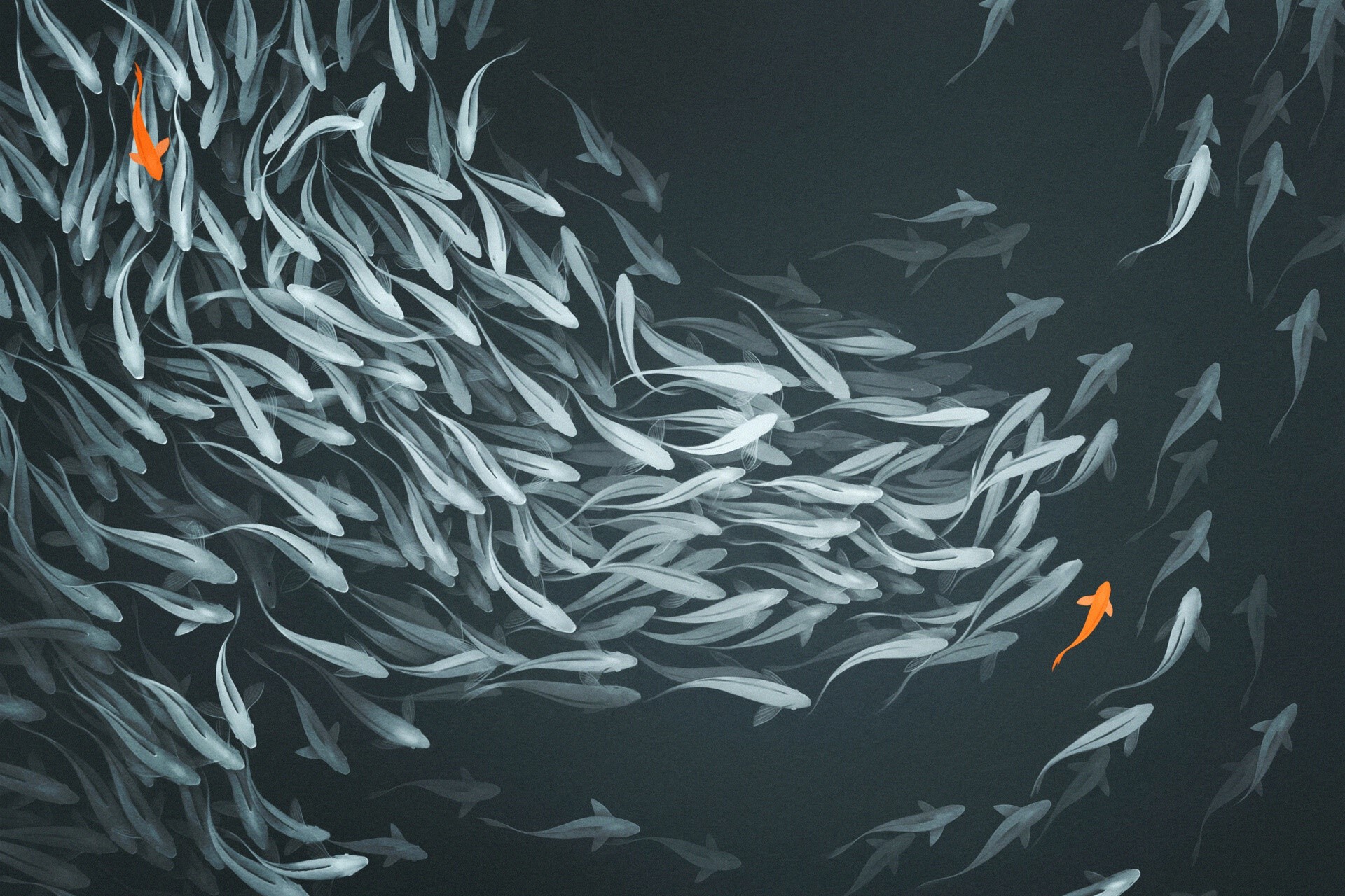 Artwork of a school of fish with two orange fish HD Wallpaper