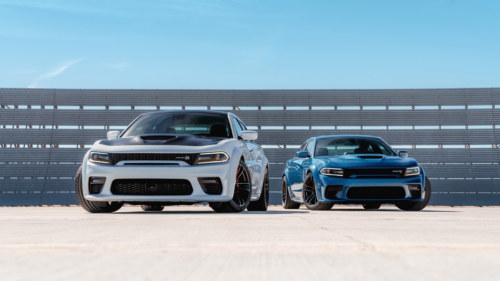 Two Dodge Charger SRT Hellcat Widebody cars HD Wallpaper