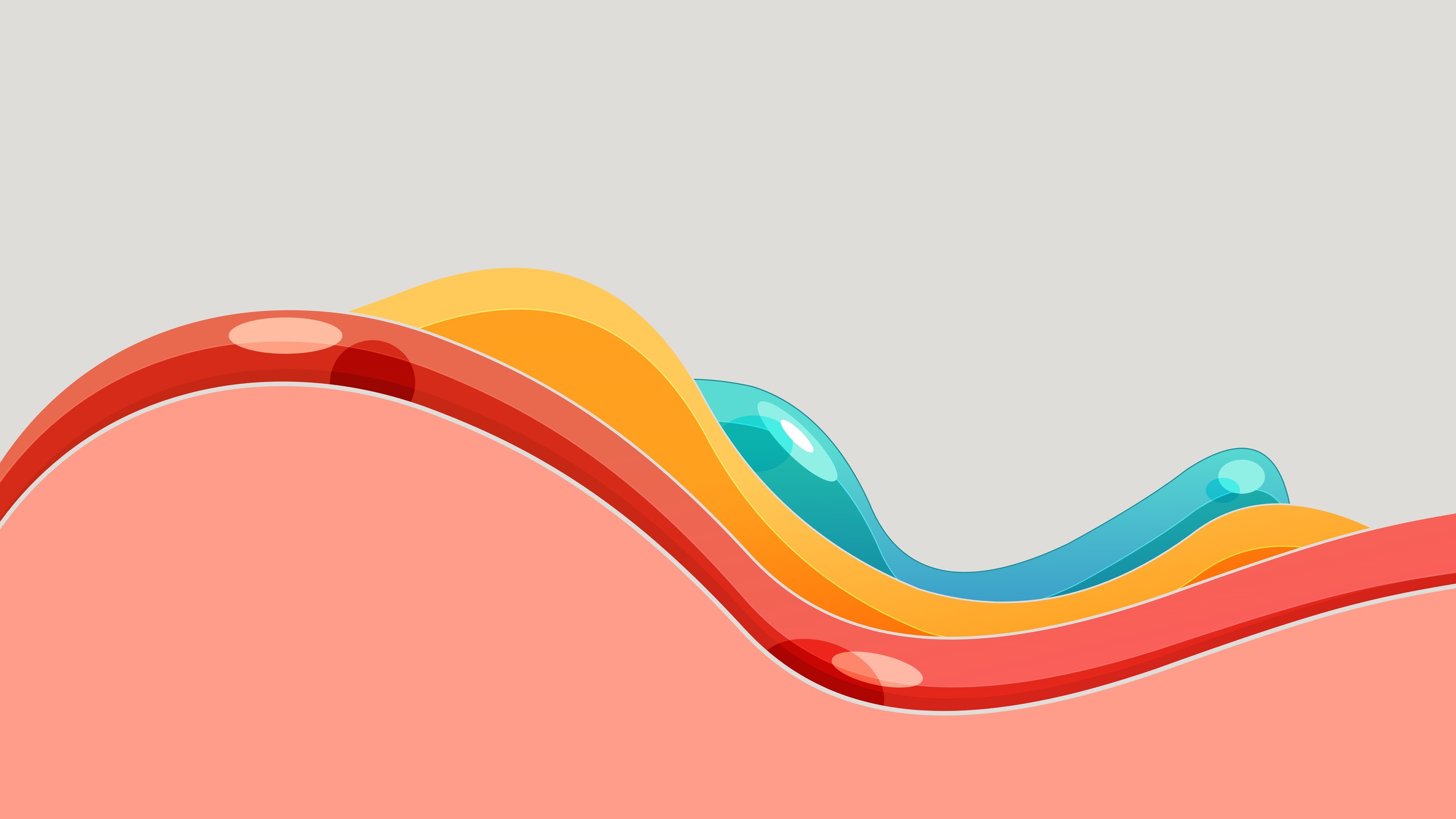 Abstract colorful waves on a light gray background HD Wallpaper