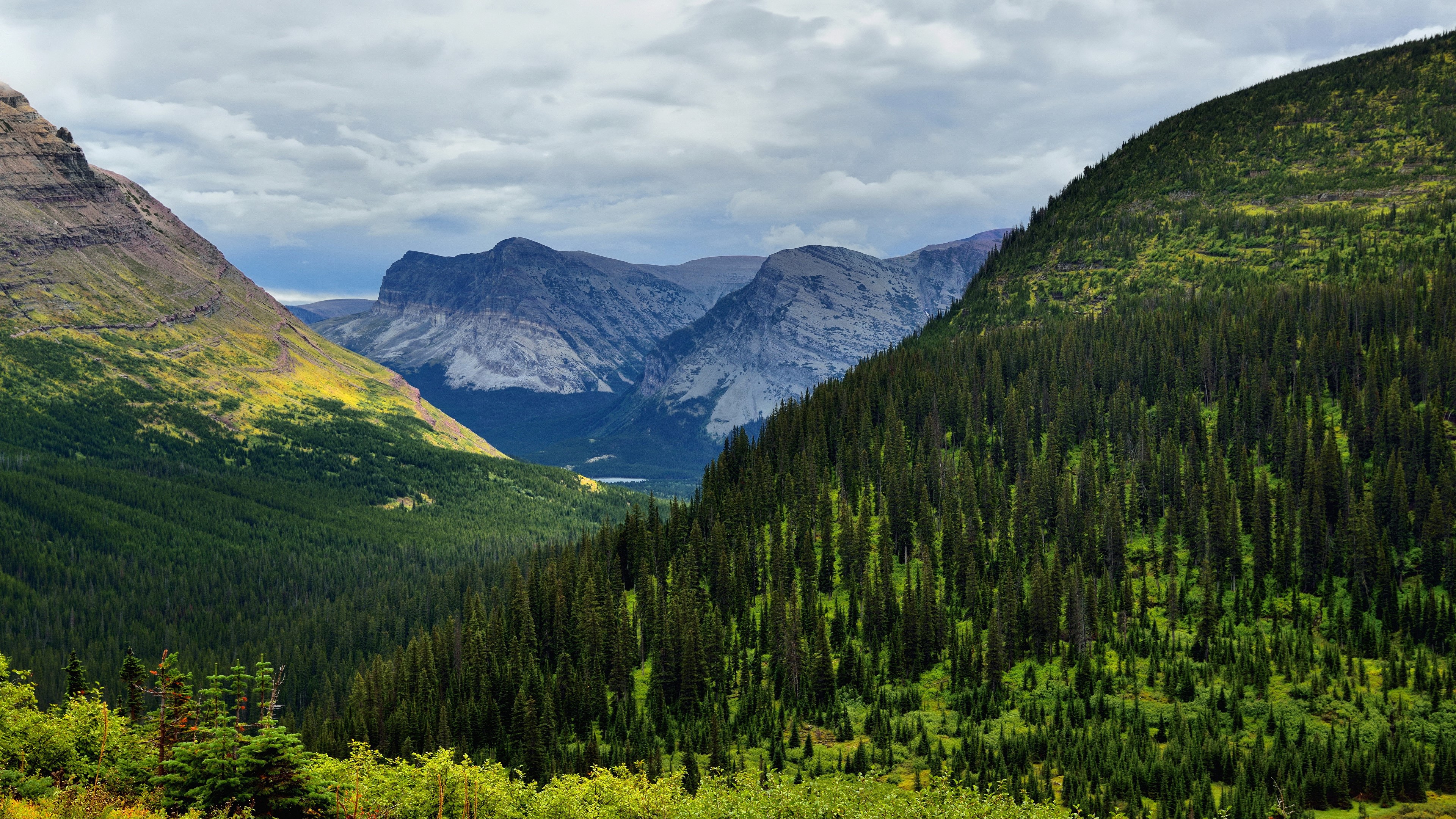 4K landscape of forest and mountains under clouds HD Wallpaper