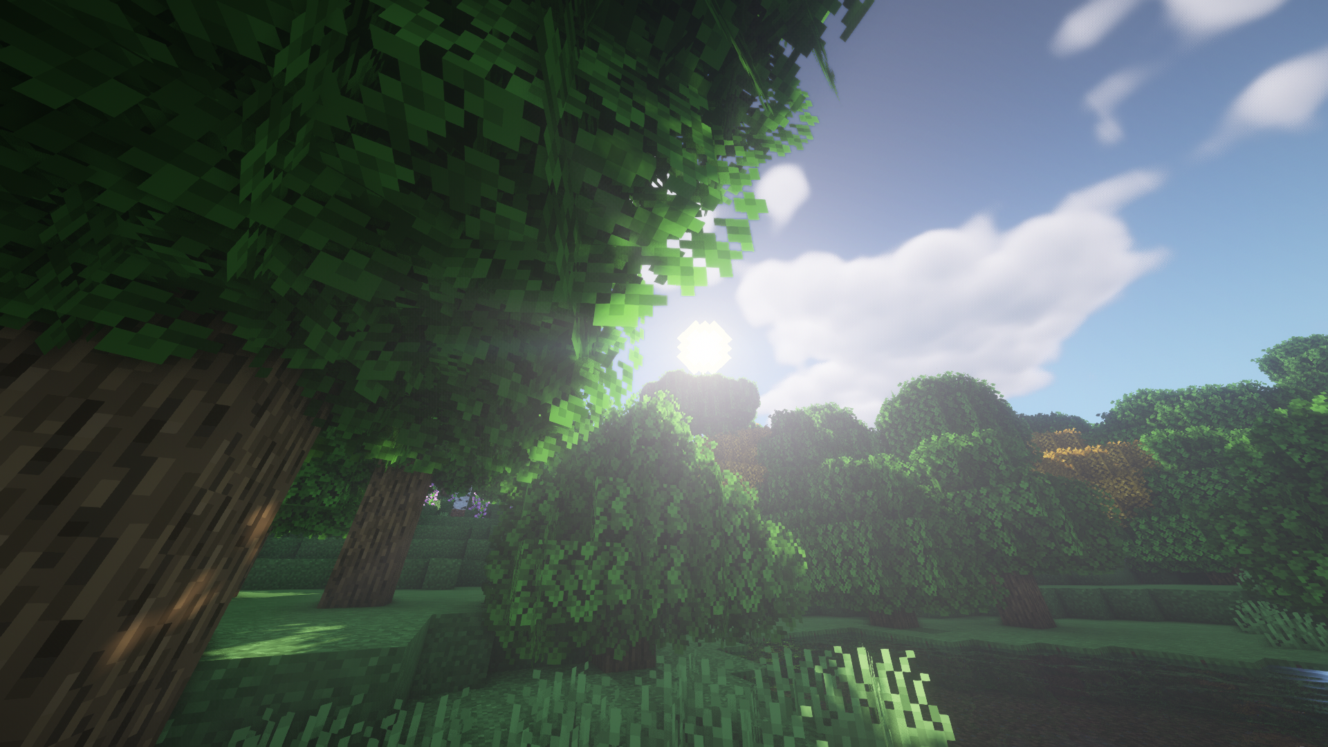 Minecraft forest with sun and clouds HD Wallpaper
