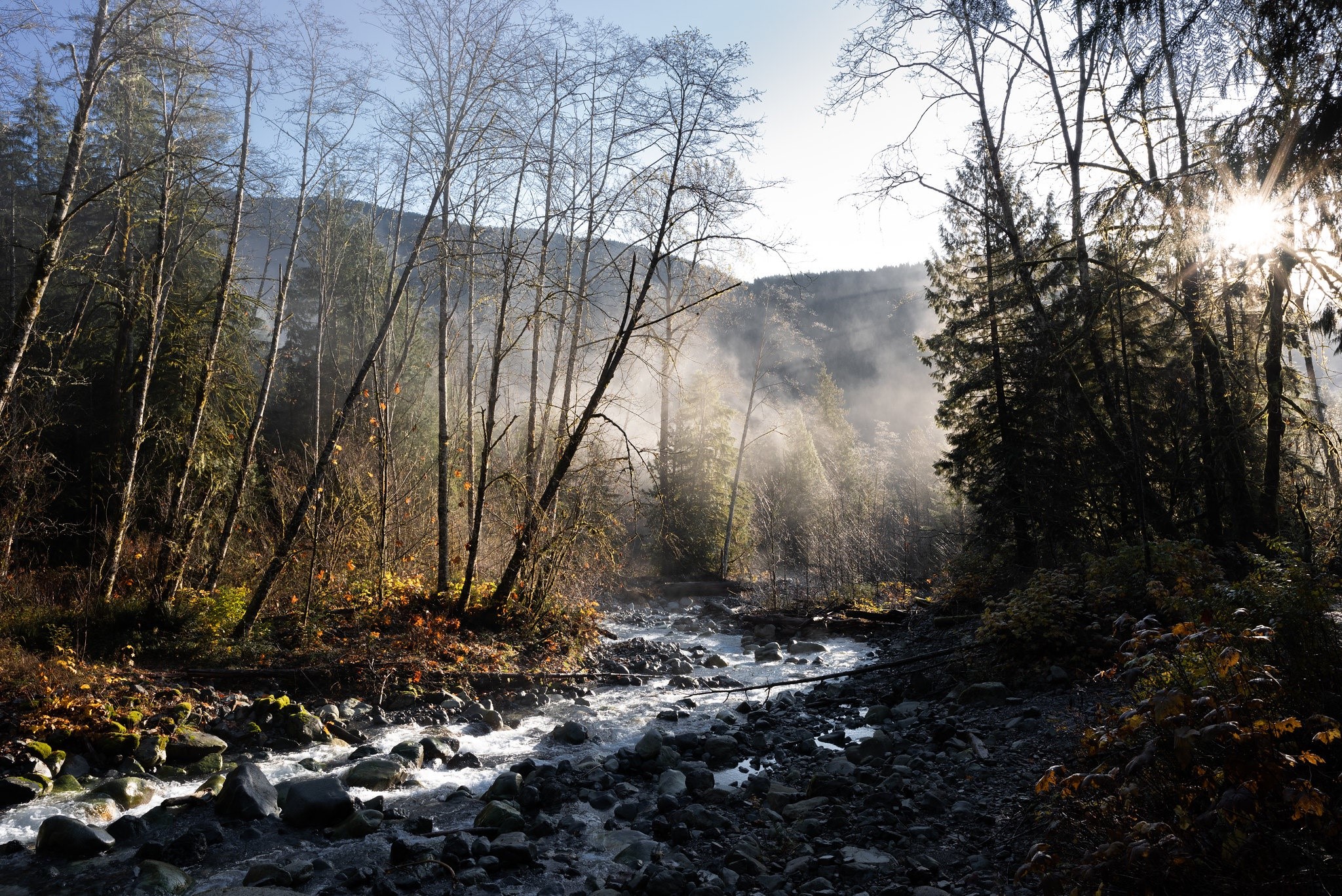 Misty river flowing through a forest in autumn HD Wallpaper